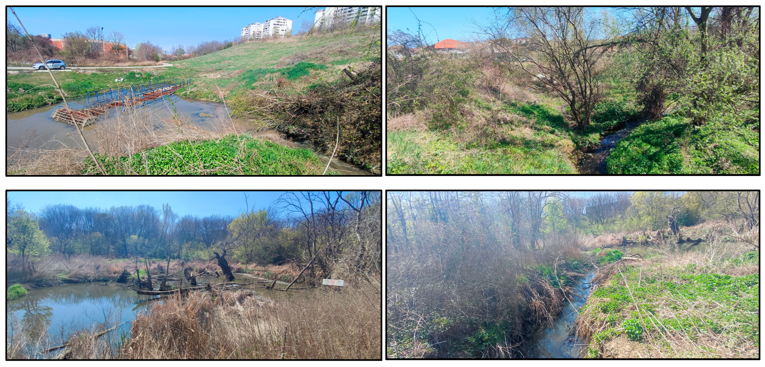 Sustainability 16 05723 g003