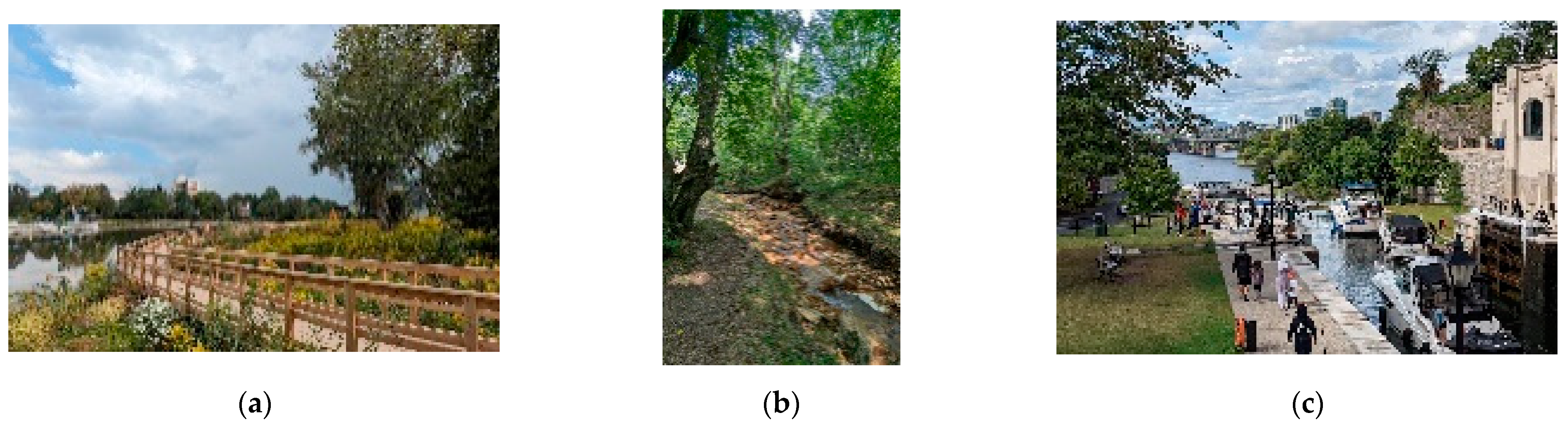 Sustainability 16 05723 g004