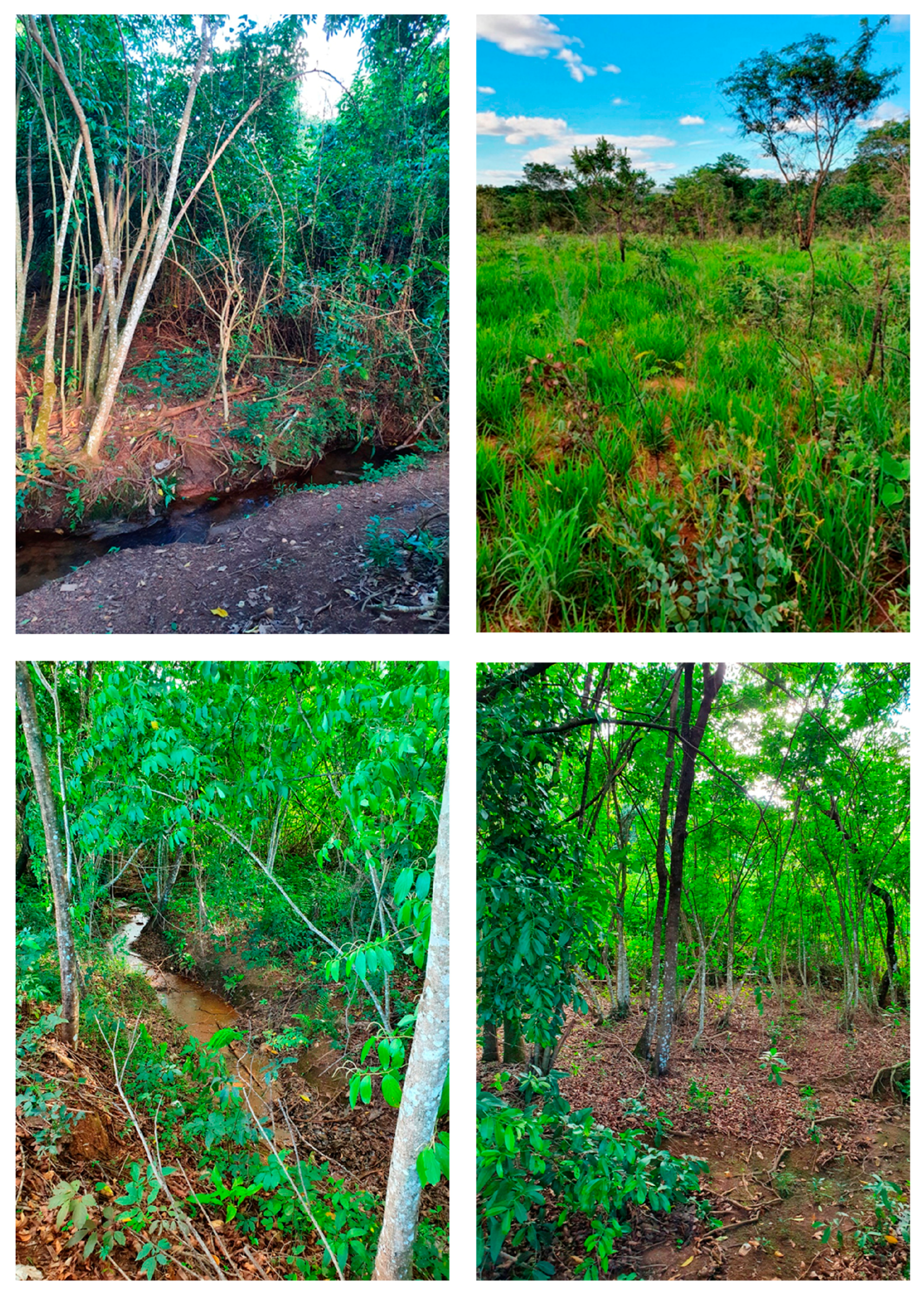 Sustainability 16 05724 g002 Sustainability 16 05724 g002