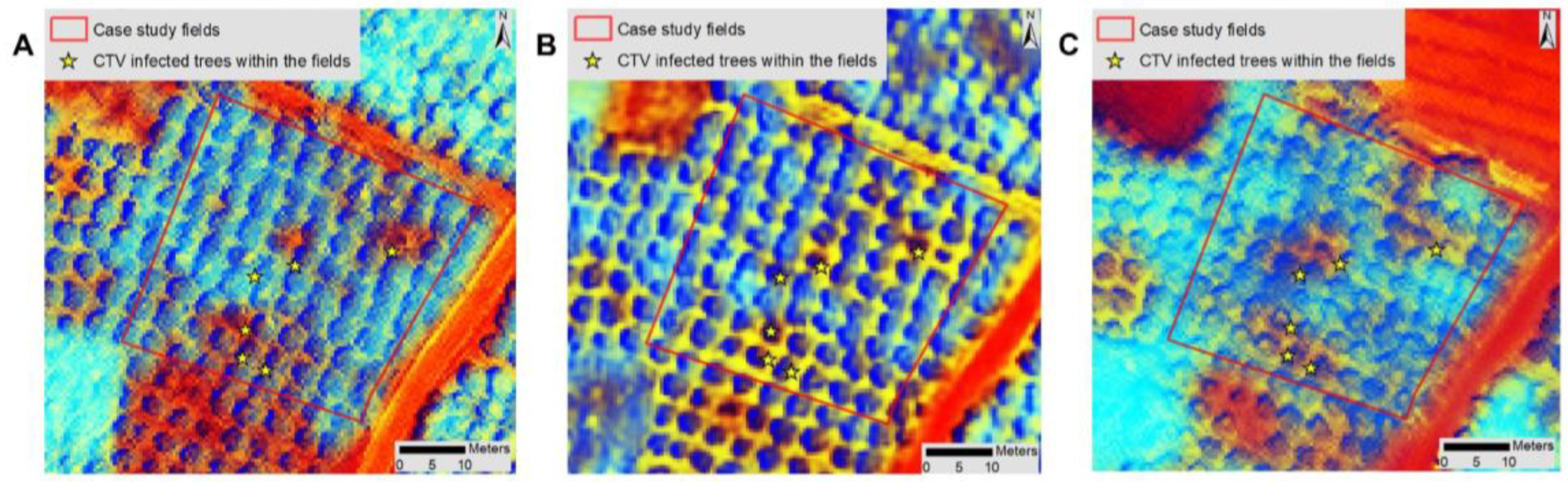 Sustainability 16 05748 g006