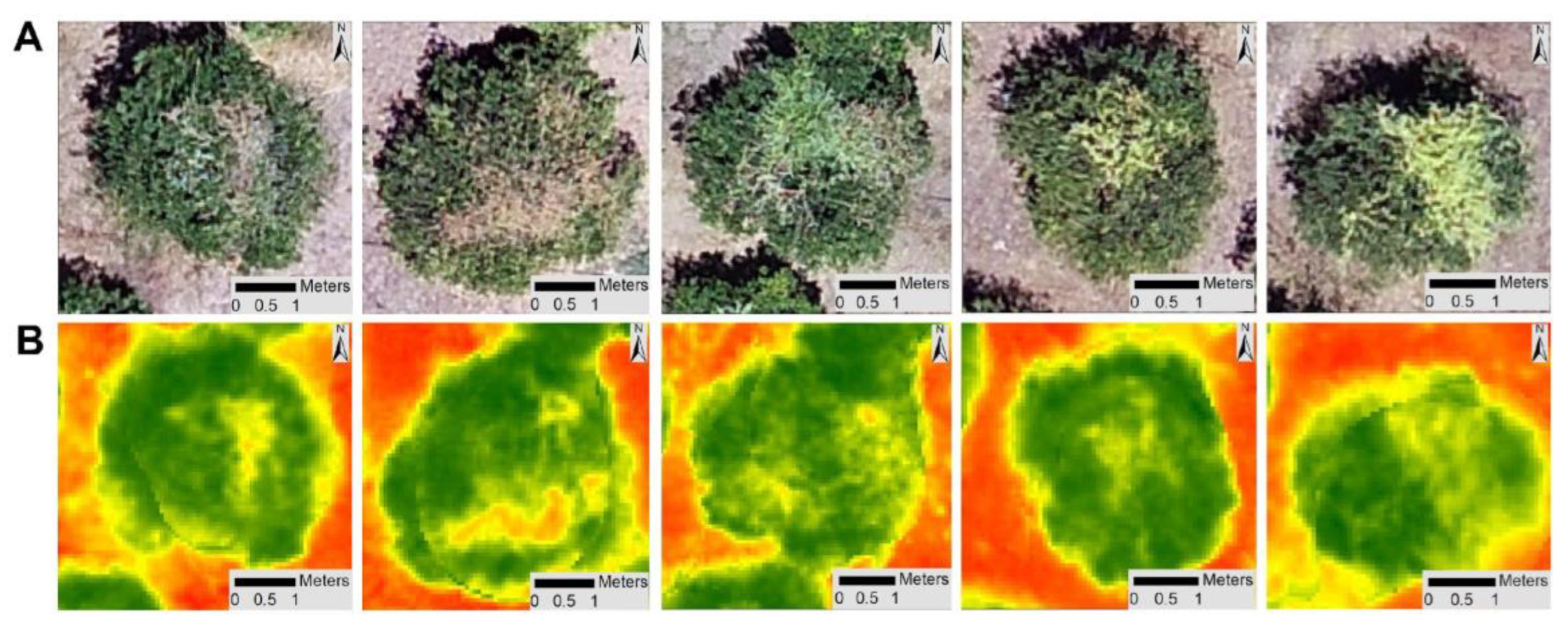 Sustainability 16 05748 g008