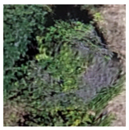 Sustainability 16 05748 i002