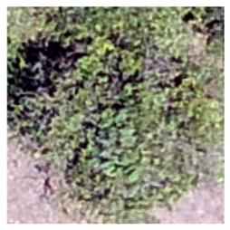 Sustainability 16 05748 i003