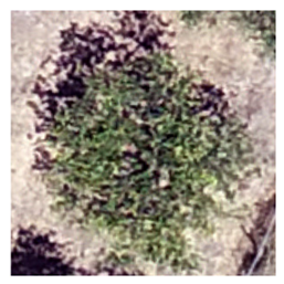 Sustainability 16 05748 i006