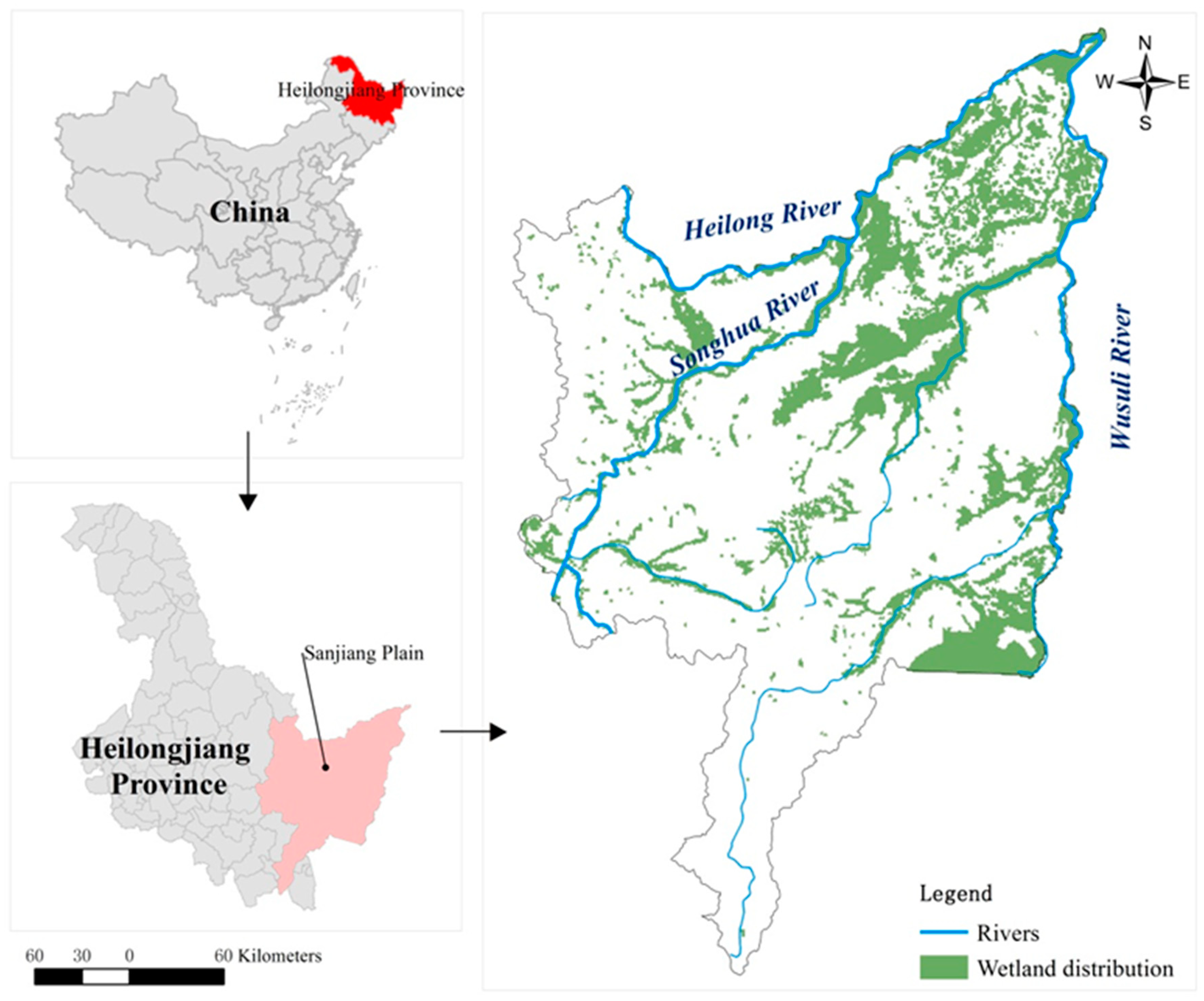 Sustainability 16 05750 g001