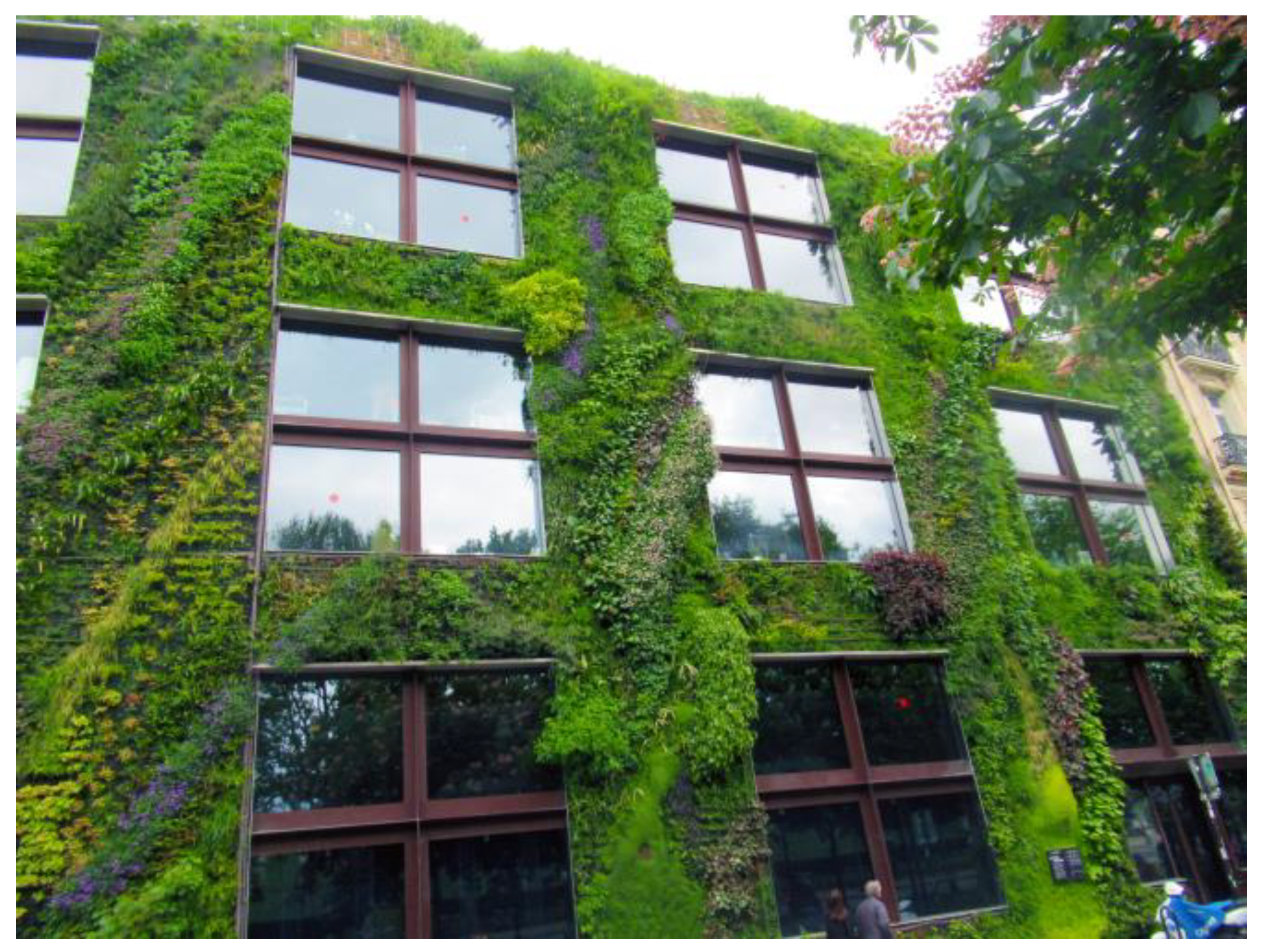 Sustainability 16 05751 g001