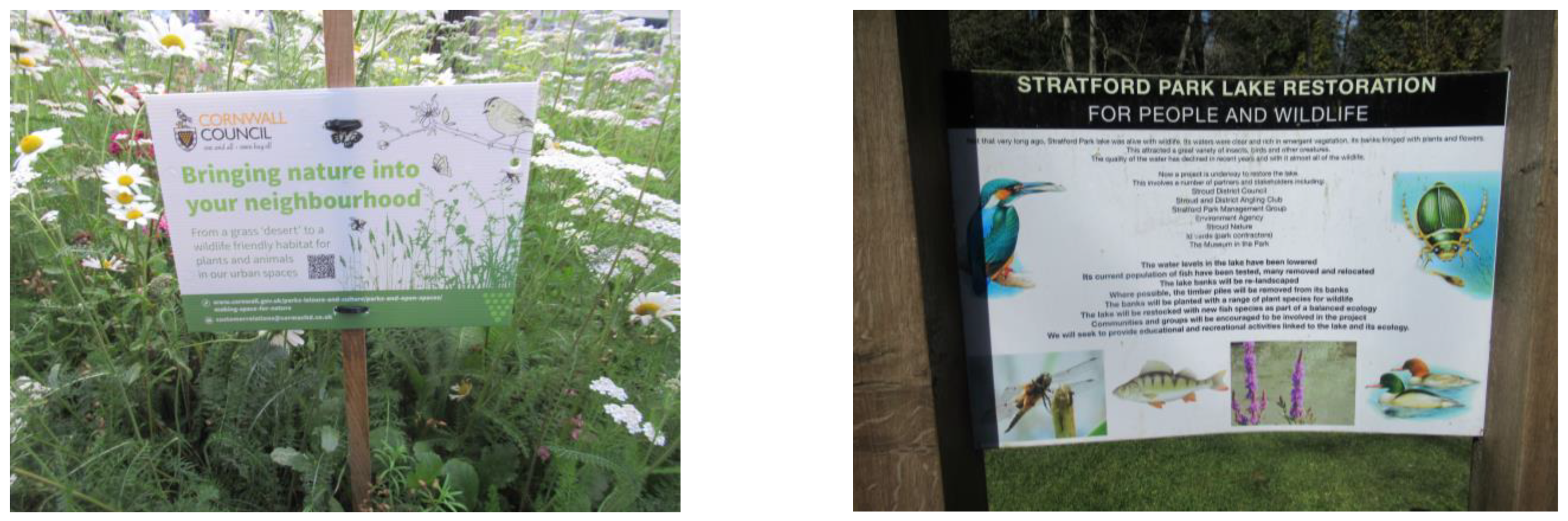 Sustainability 16 05751 g002