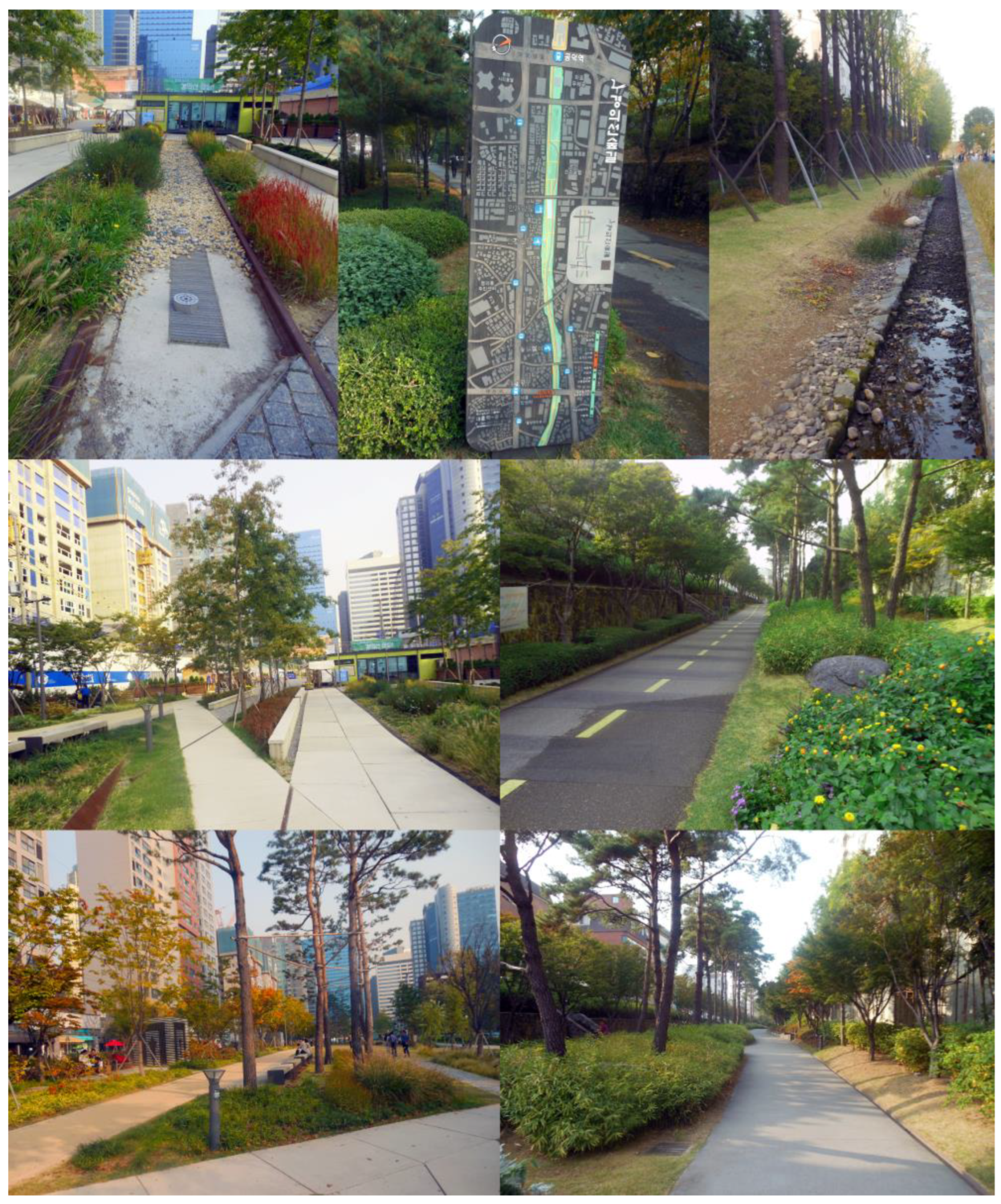 Sustainability 16 05751 g003