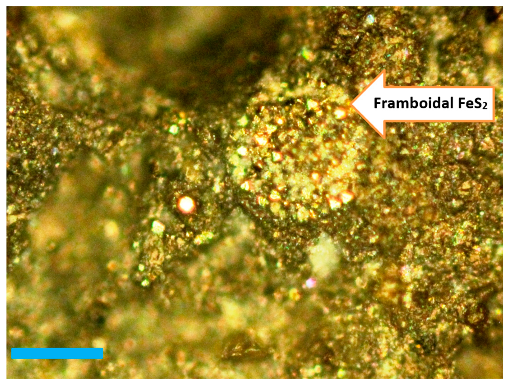 Sustainability 16 05758 g0a1