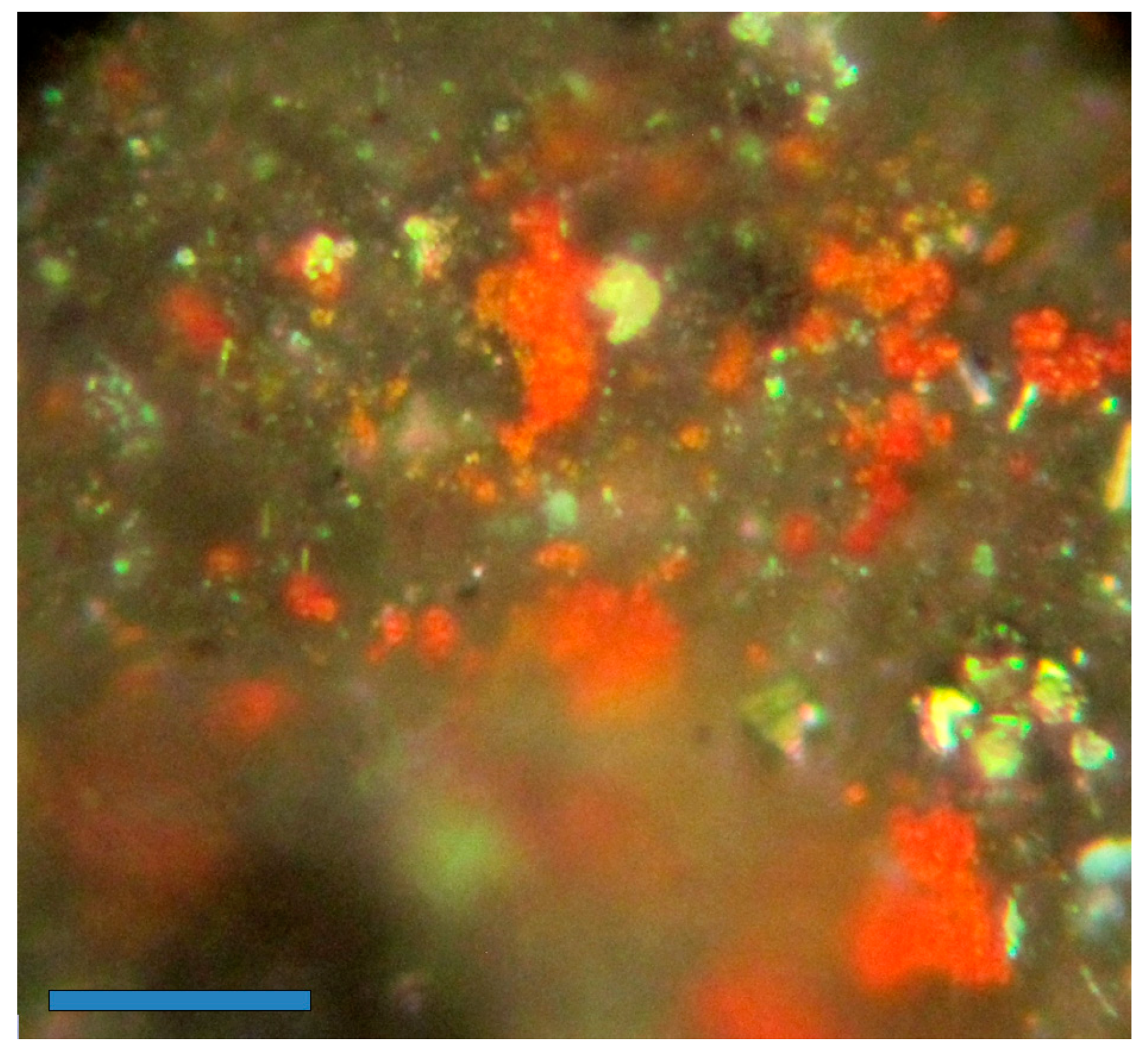 Sustainability 16 05758 g0a2