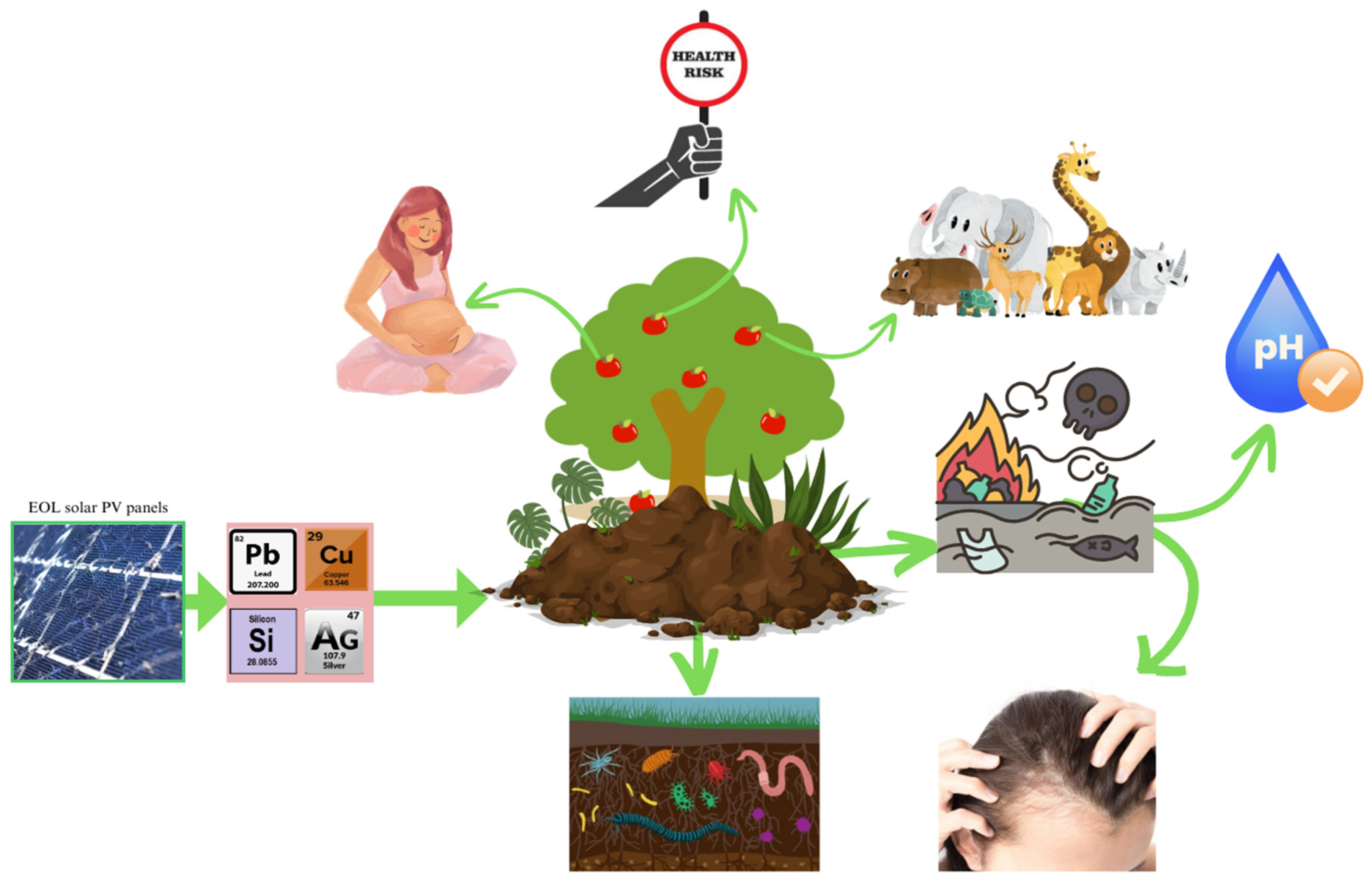 Sustainability 16 05785 g007