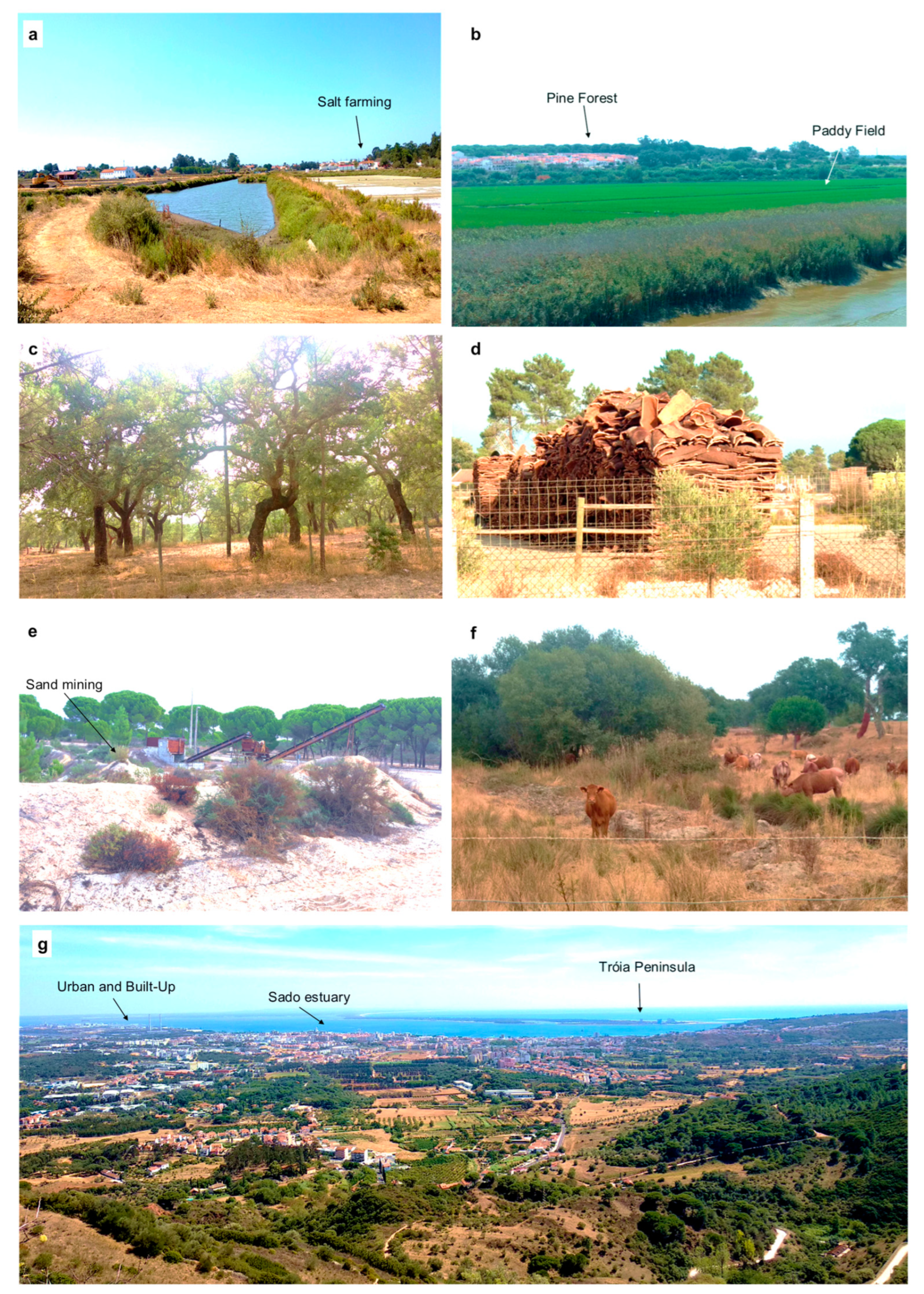 Sustainability 16 05798 g004