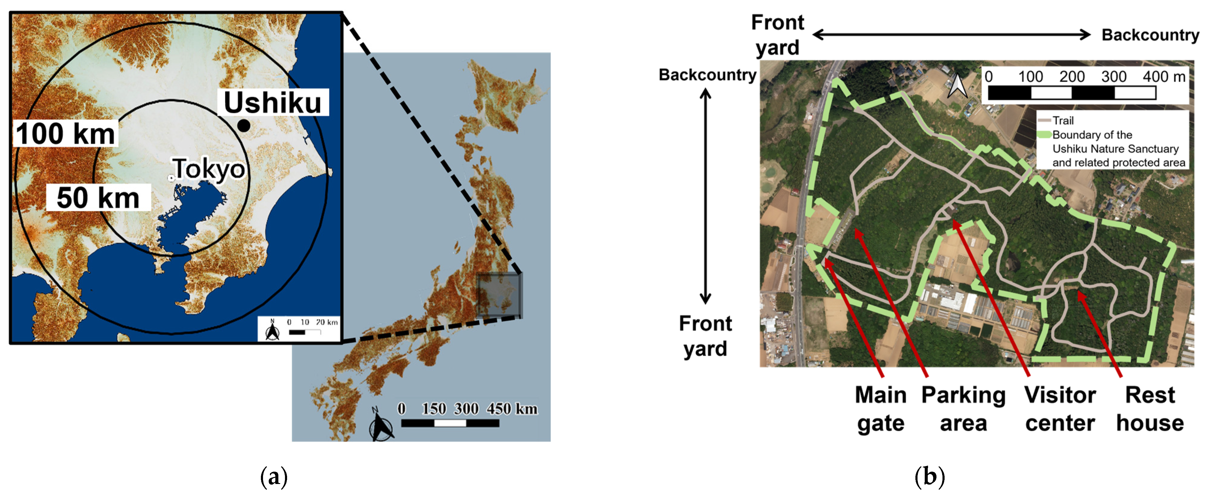 Sustainability 16 05804 g001