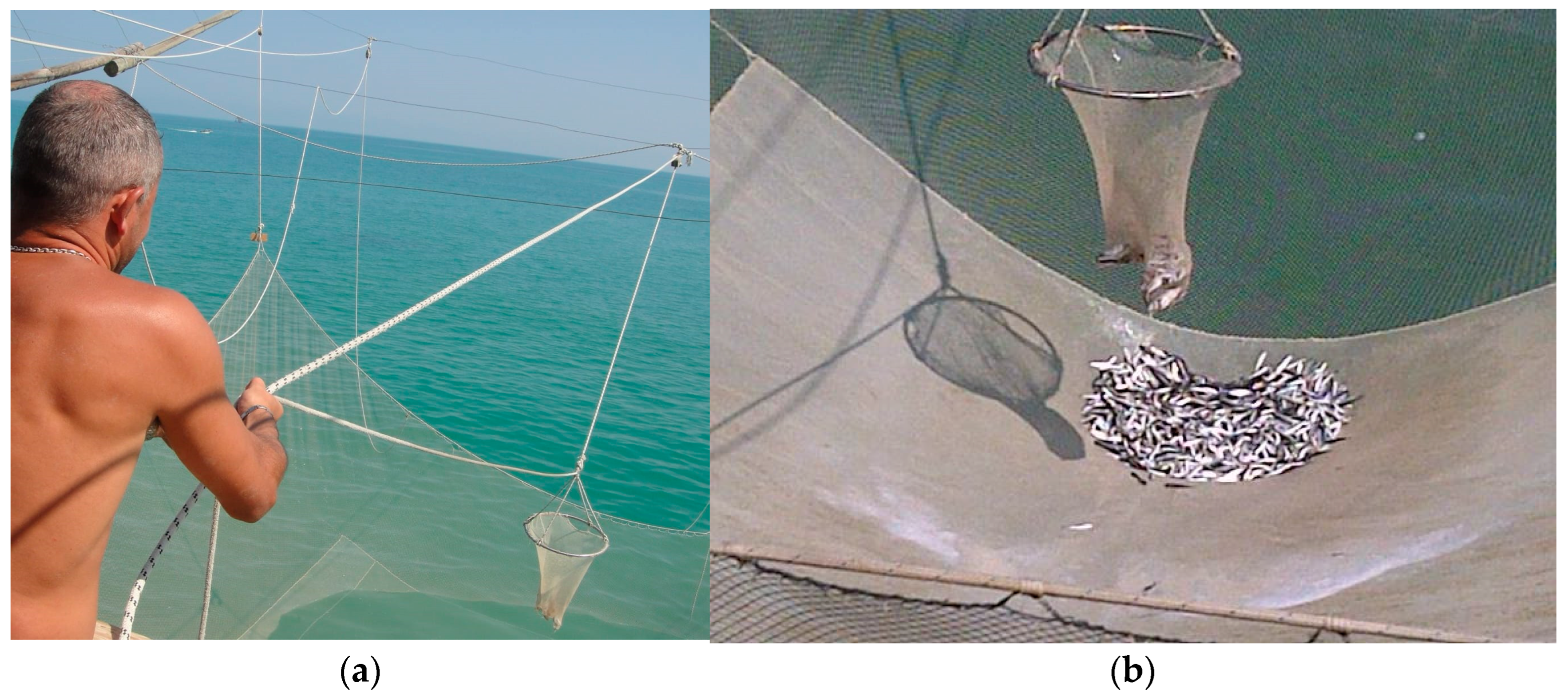 Sustainability 16 05848 g009