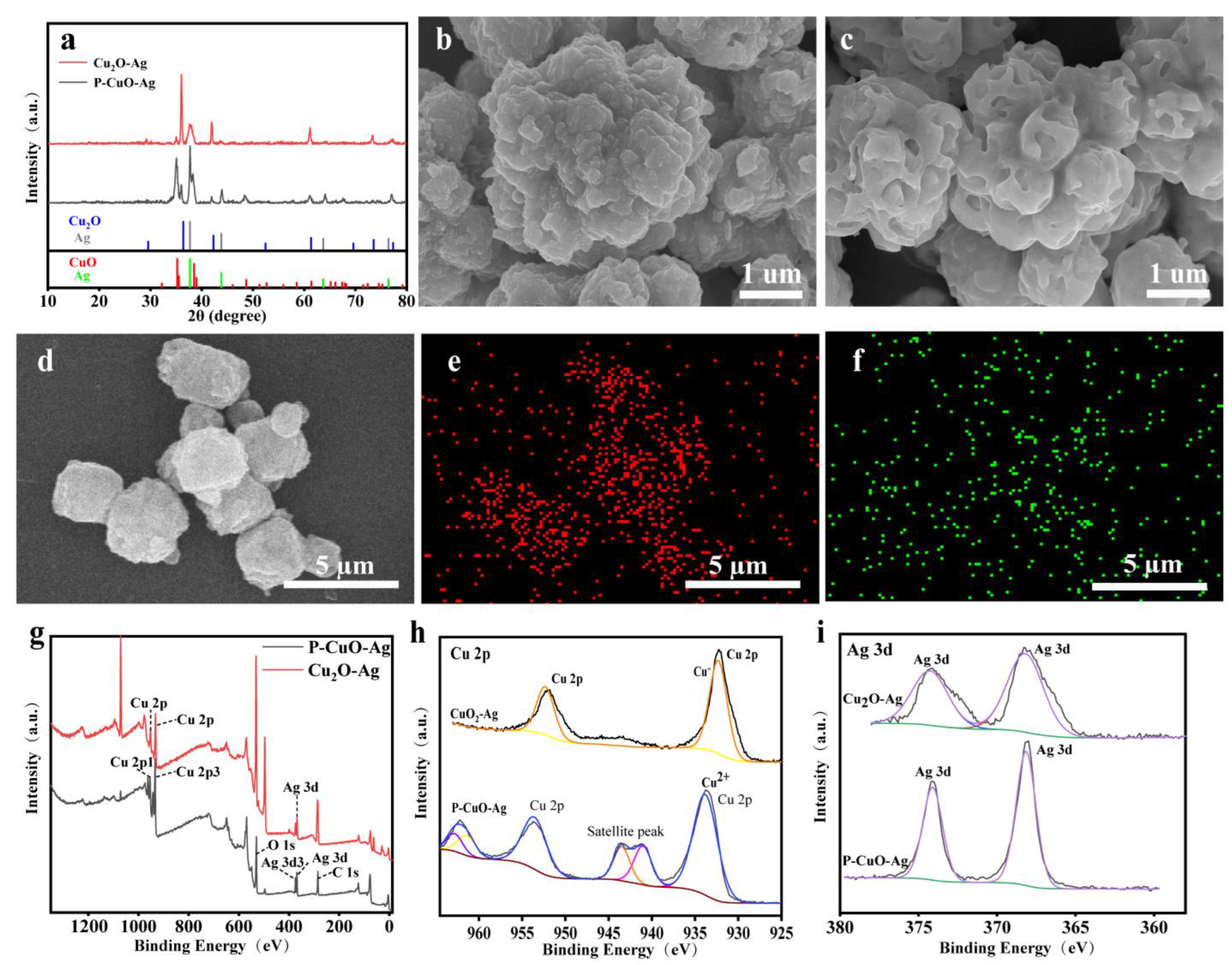 Ag-Precipitated CuO Nanospheres for Enhanced Electrochemical