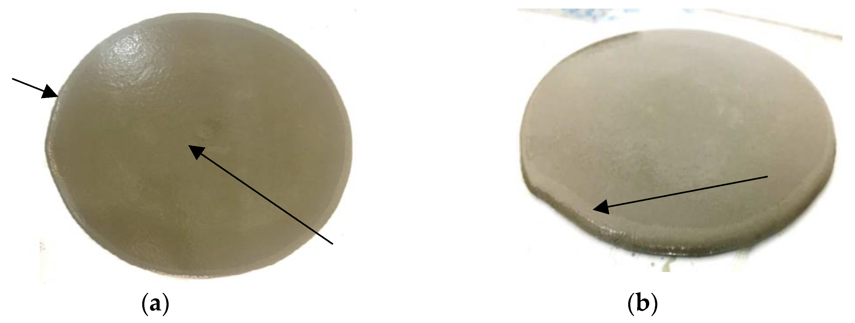 Sustainability 16 05898 g001