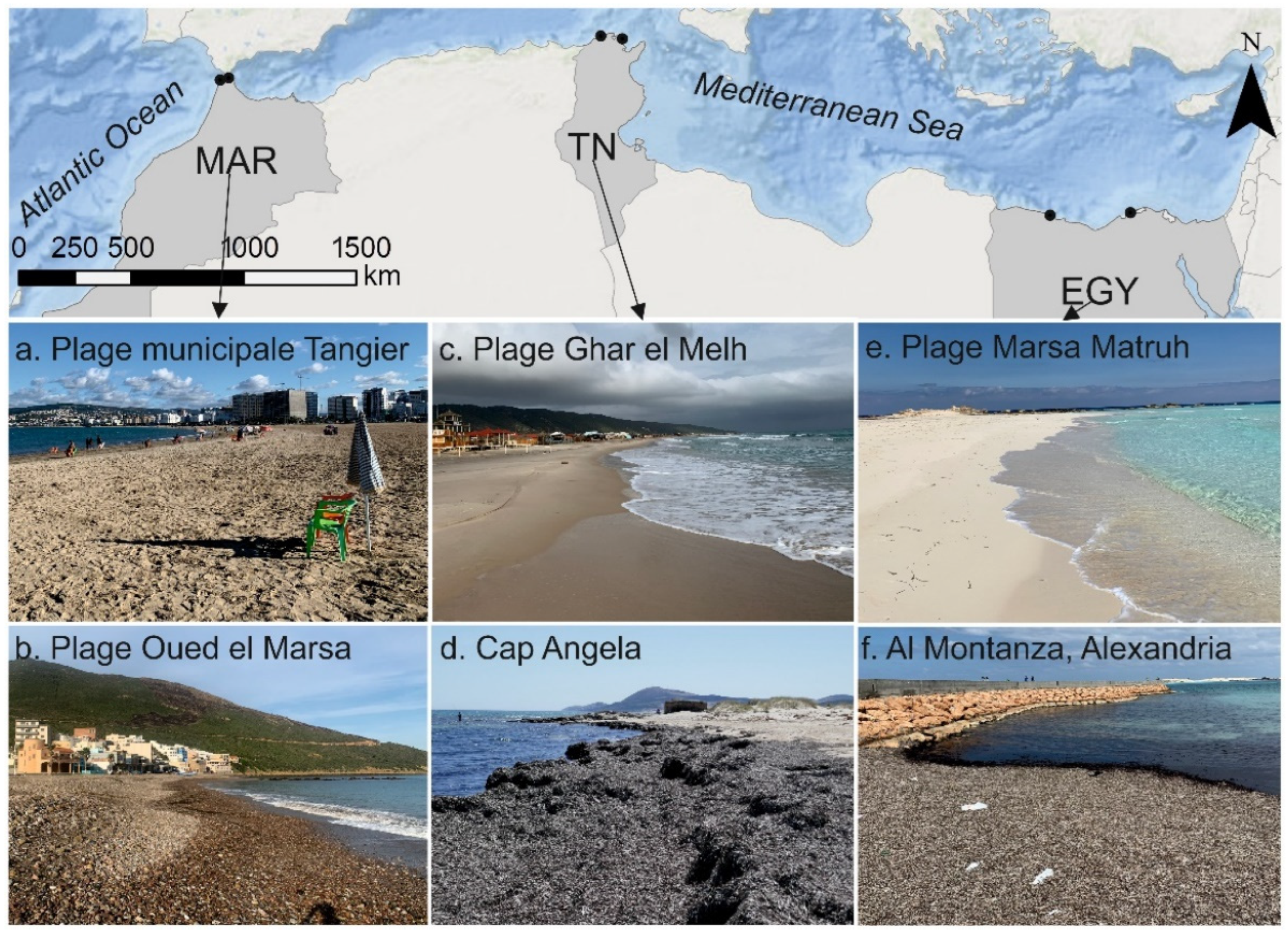 Sustainability 16 05911 g001