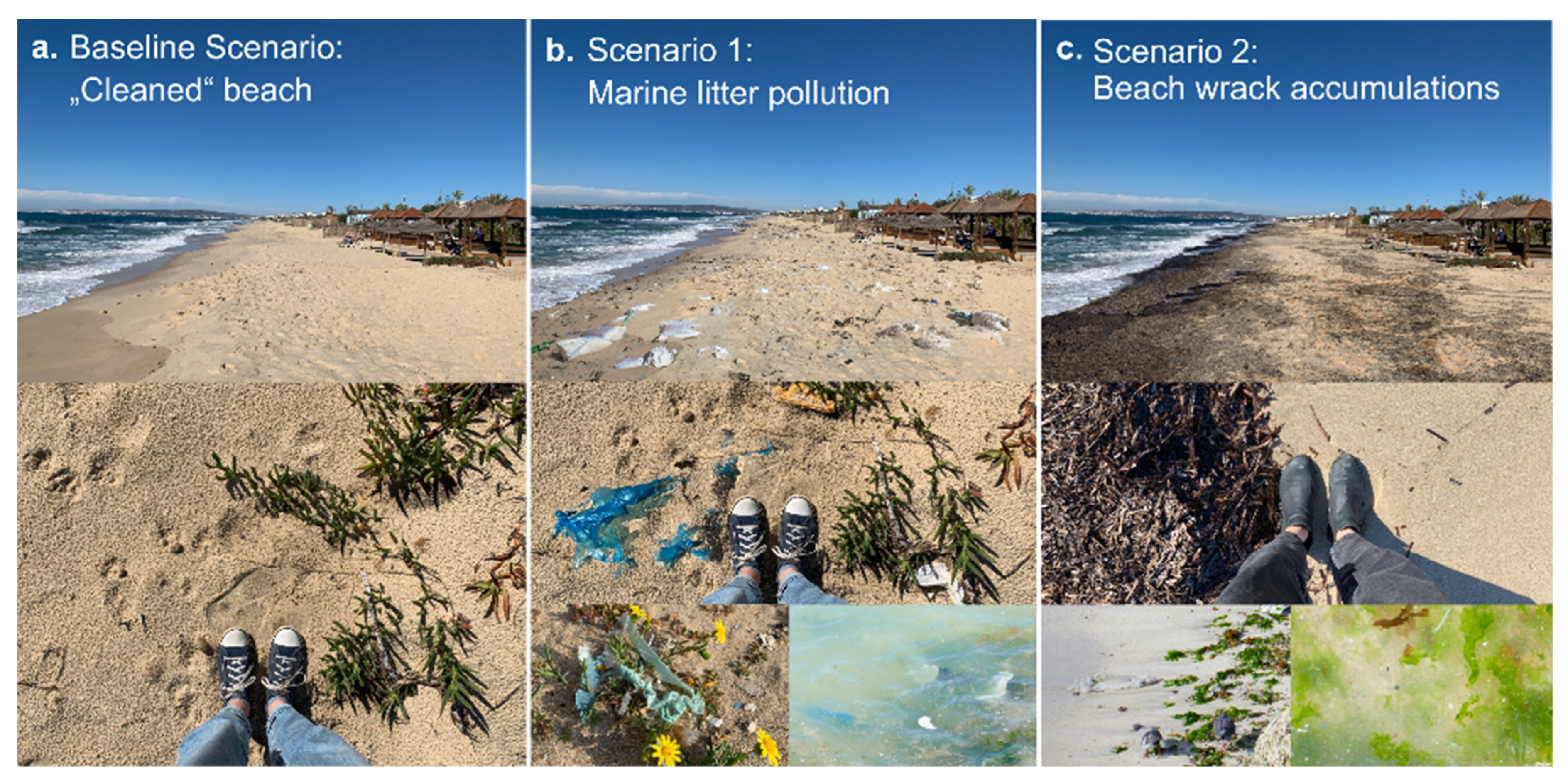 Sustainability 16 05911 g003