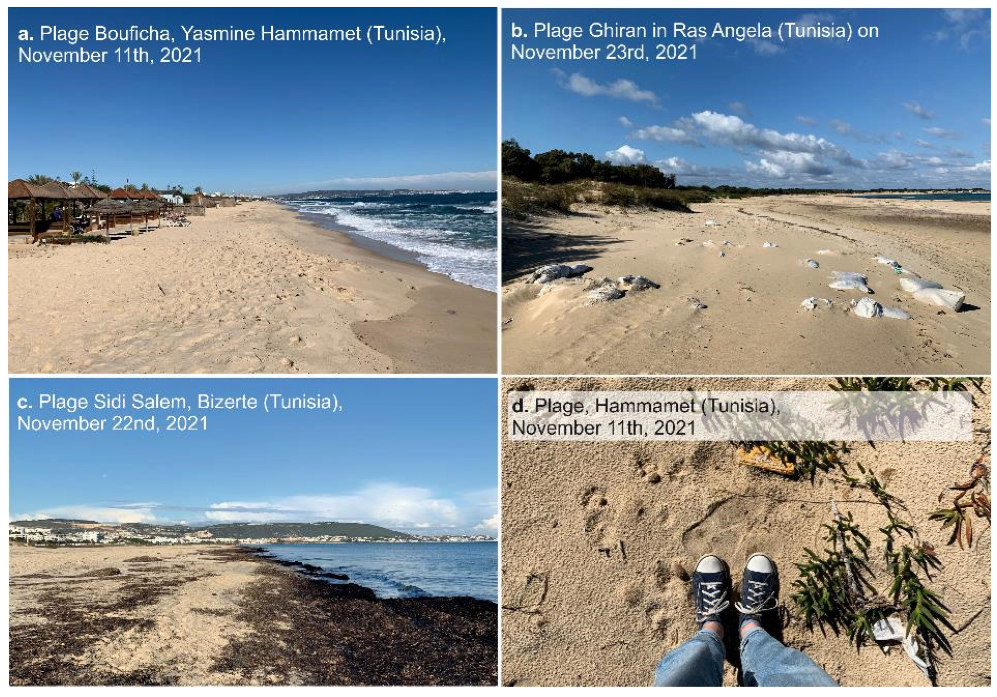 Sustainability 16 05911 g0a1