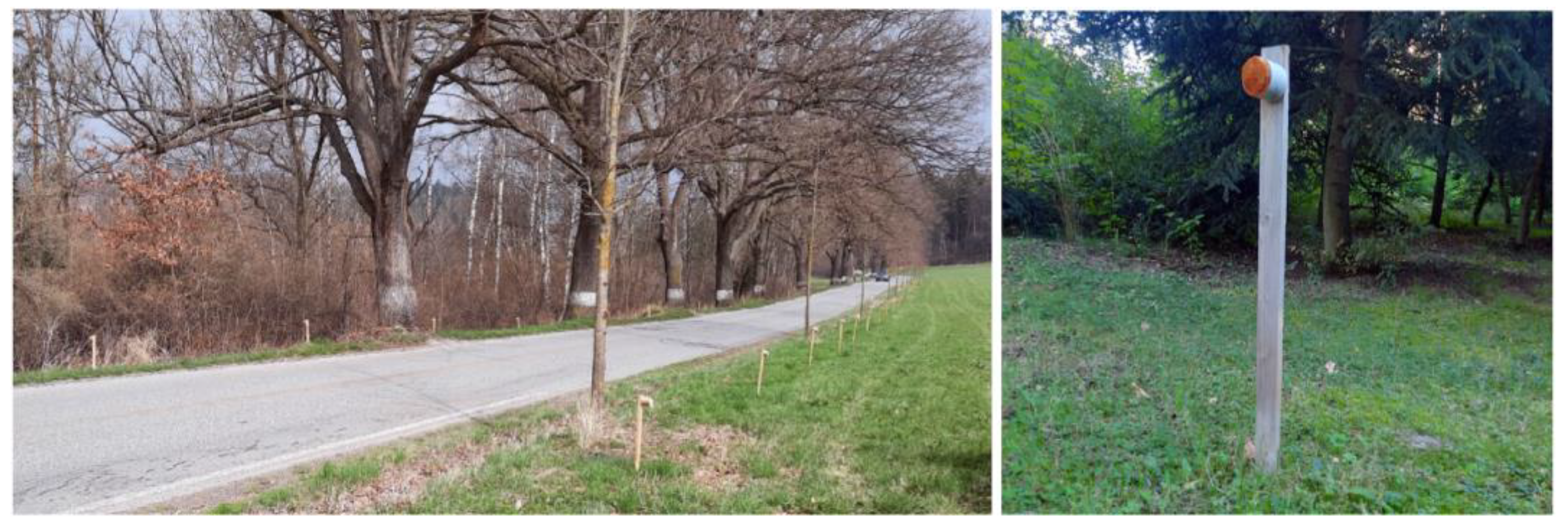 Sustainability 16 05920 g001