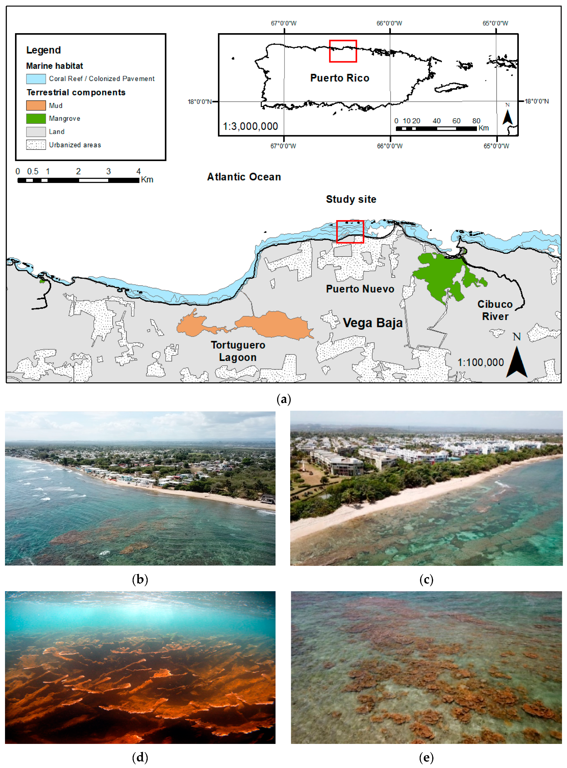 Sustainability 16 05985 g001a