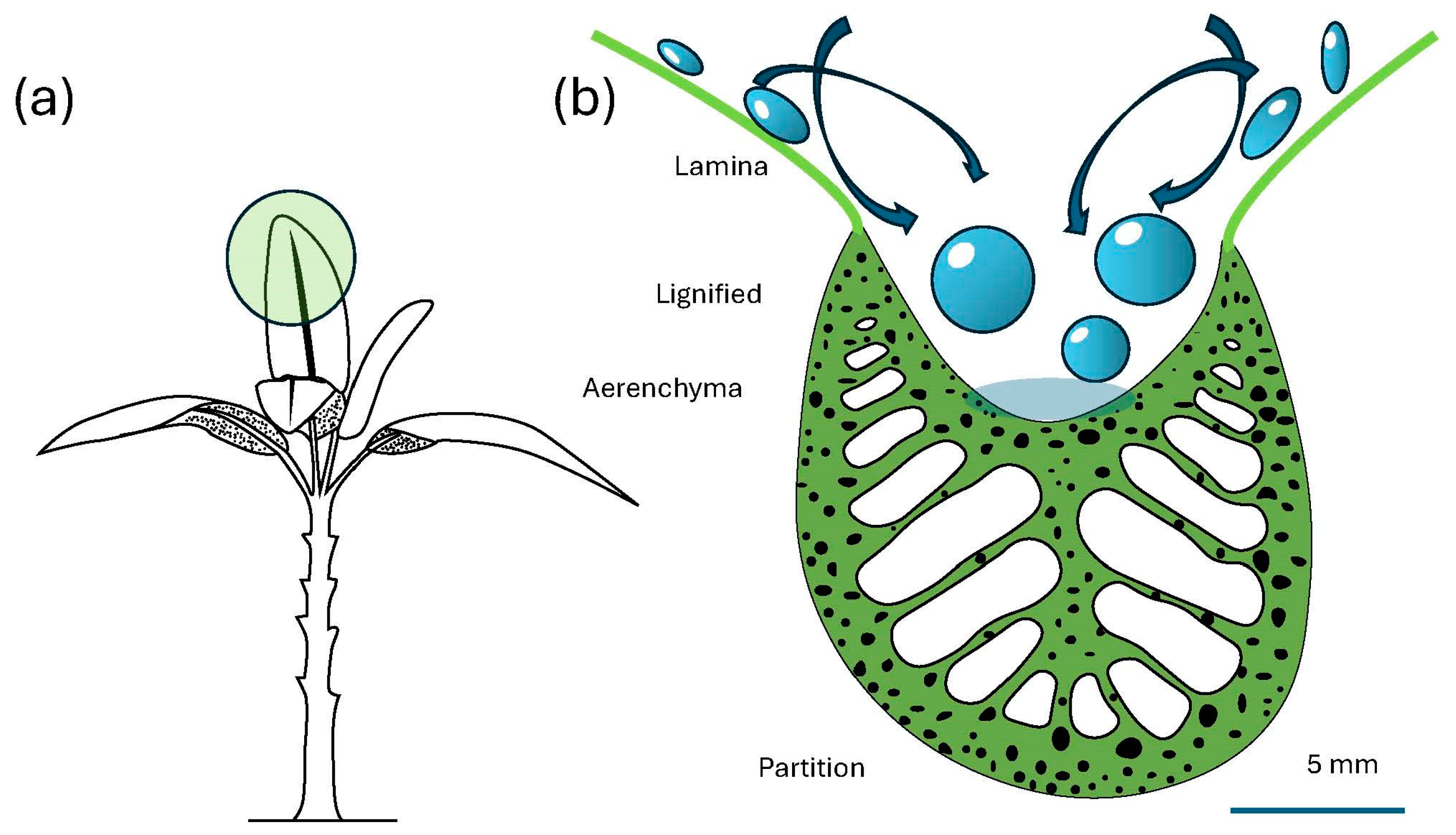 Sustainability 16 05994 g003