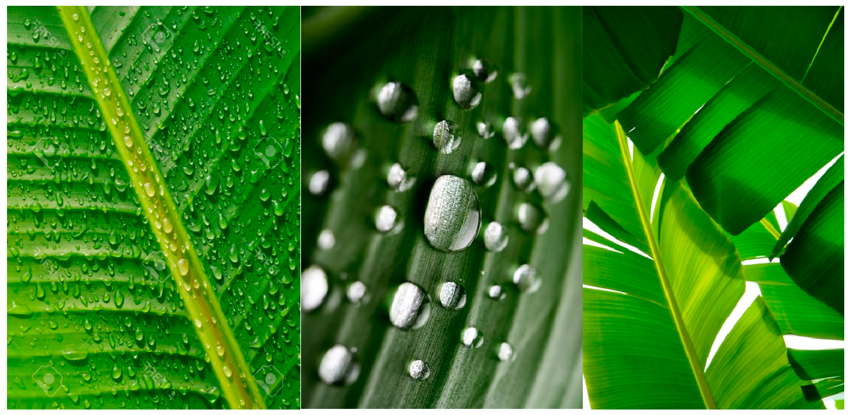 Sustainability 16 05994 g004