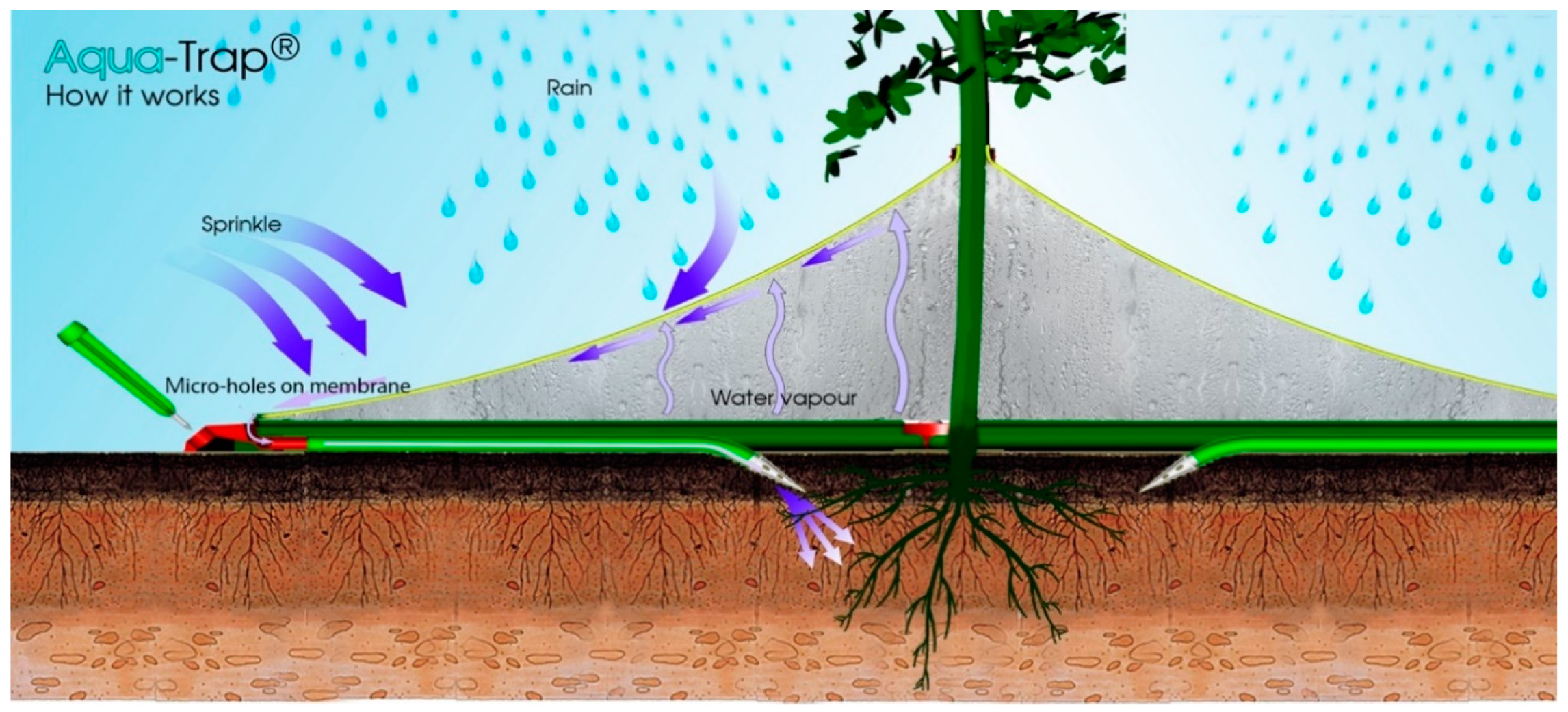 Sustainability 16 05994 g006