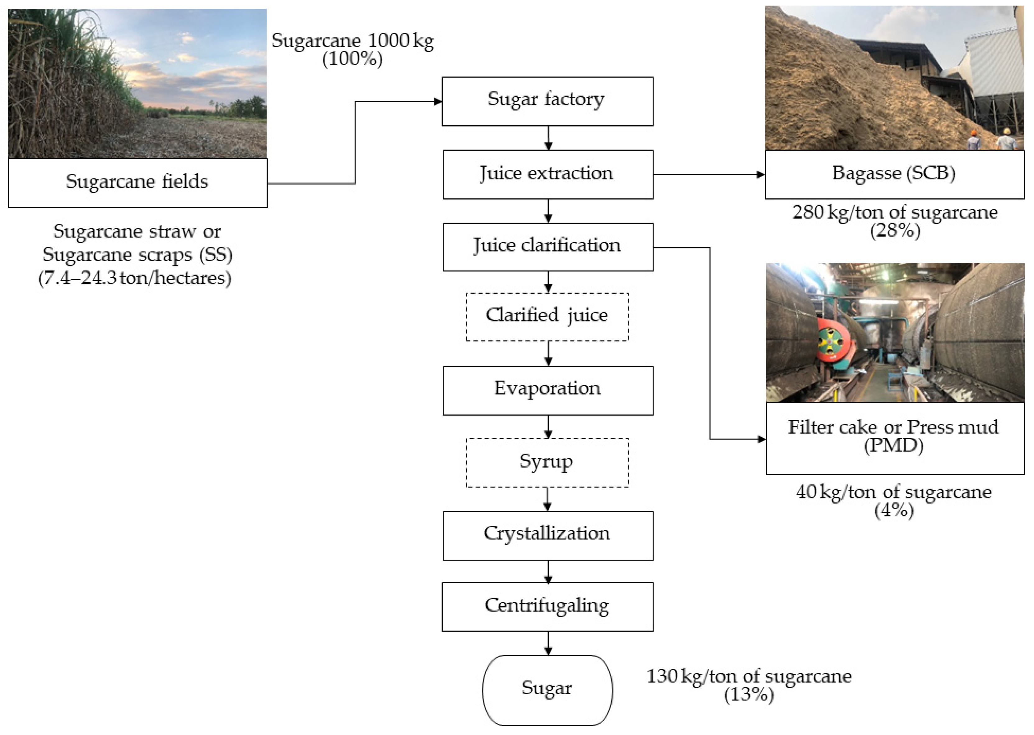 Sustainability 16 06035 g001 Sustainability 16 06035 g001