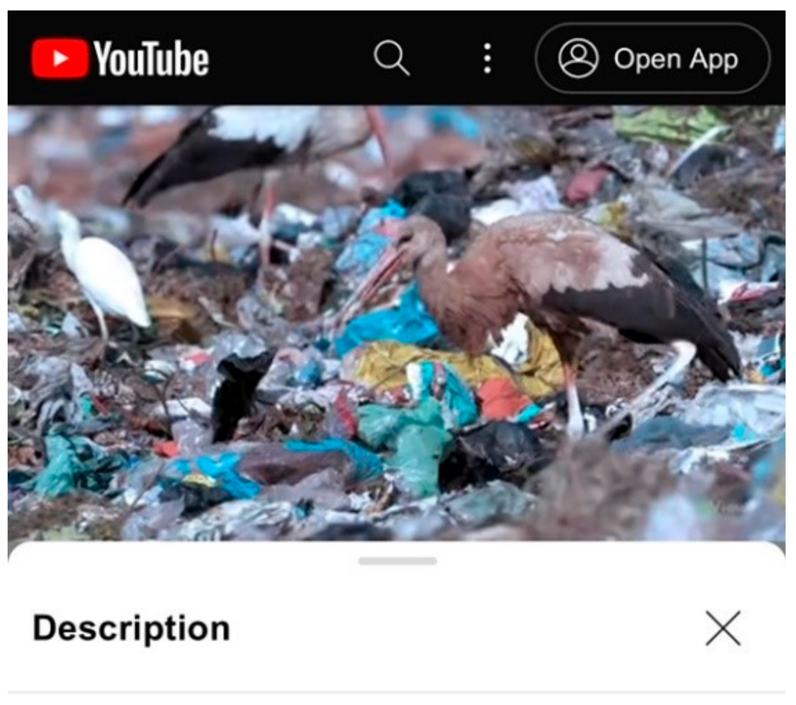 Sustainability 16 06069 g002