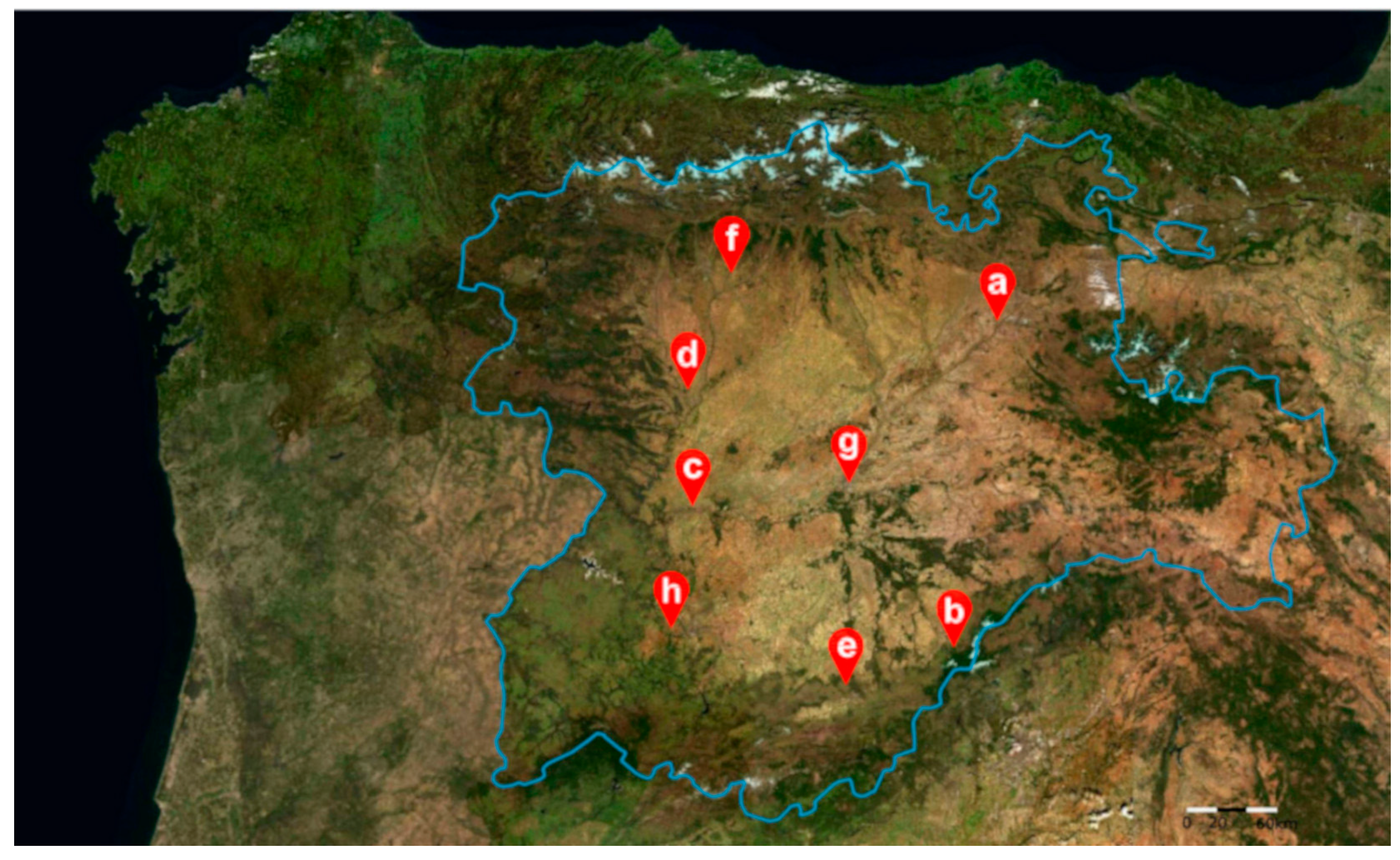 Sustainability 16 06106 g002