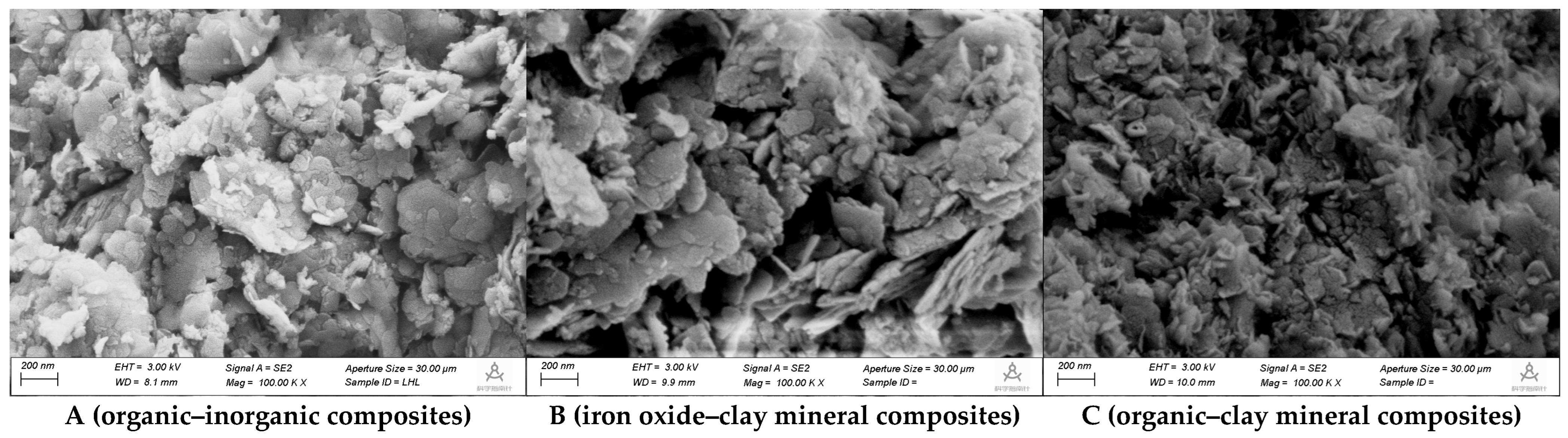 Sustainability 16 06113 g002