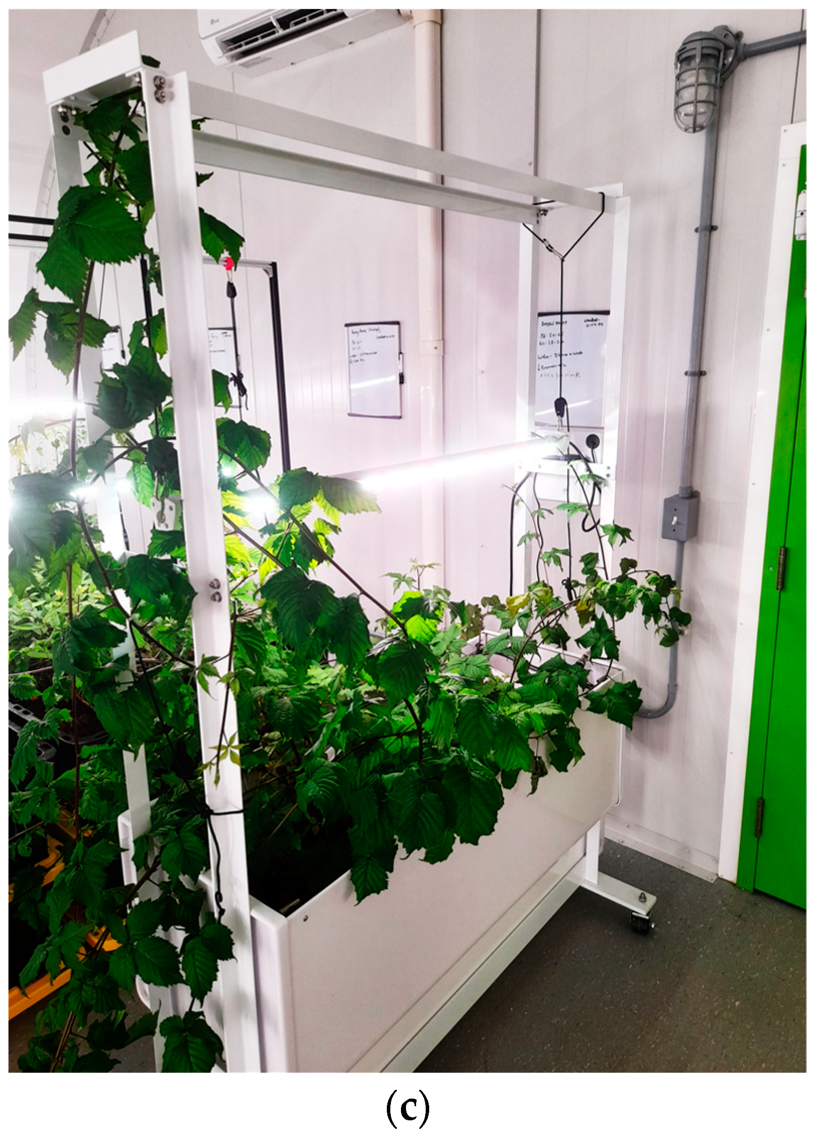 Sustainability 16 06120 g004b