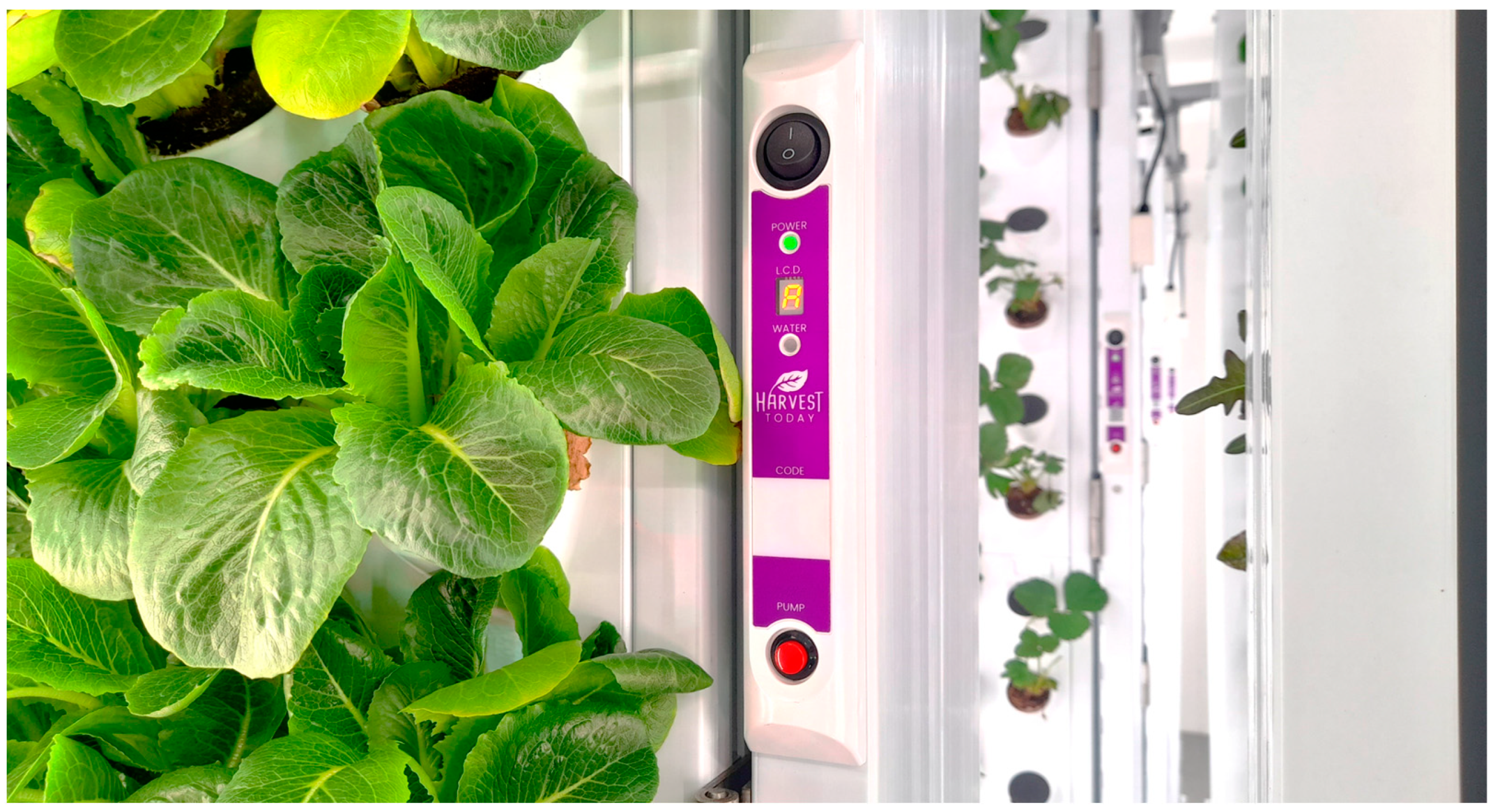 Sustainability 16 06120 g008