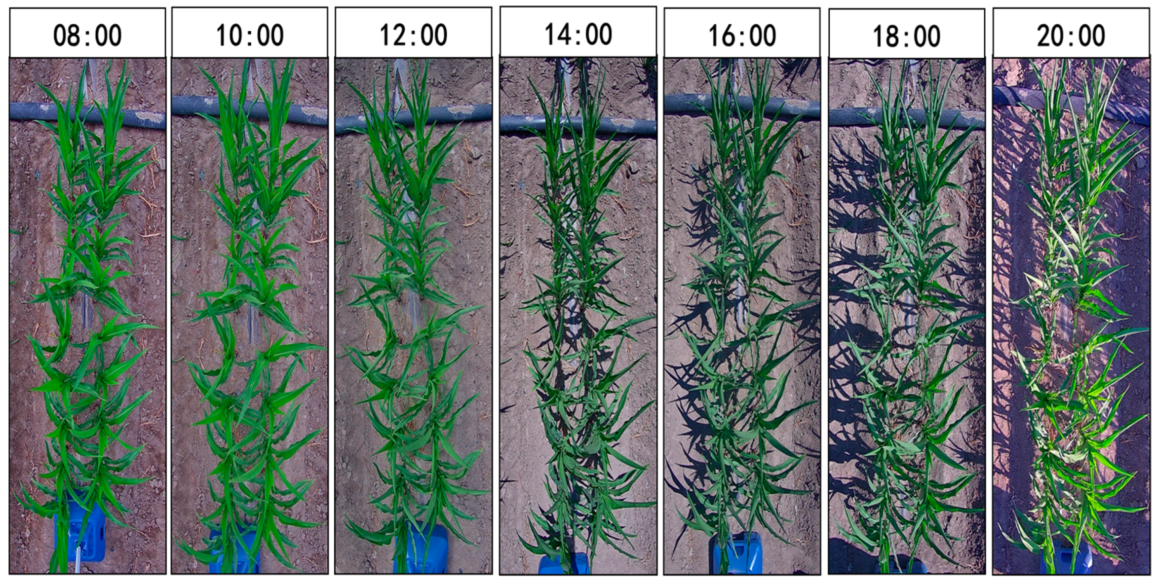 Sustainability 16 06129 g002