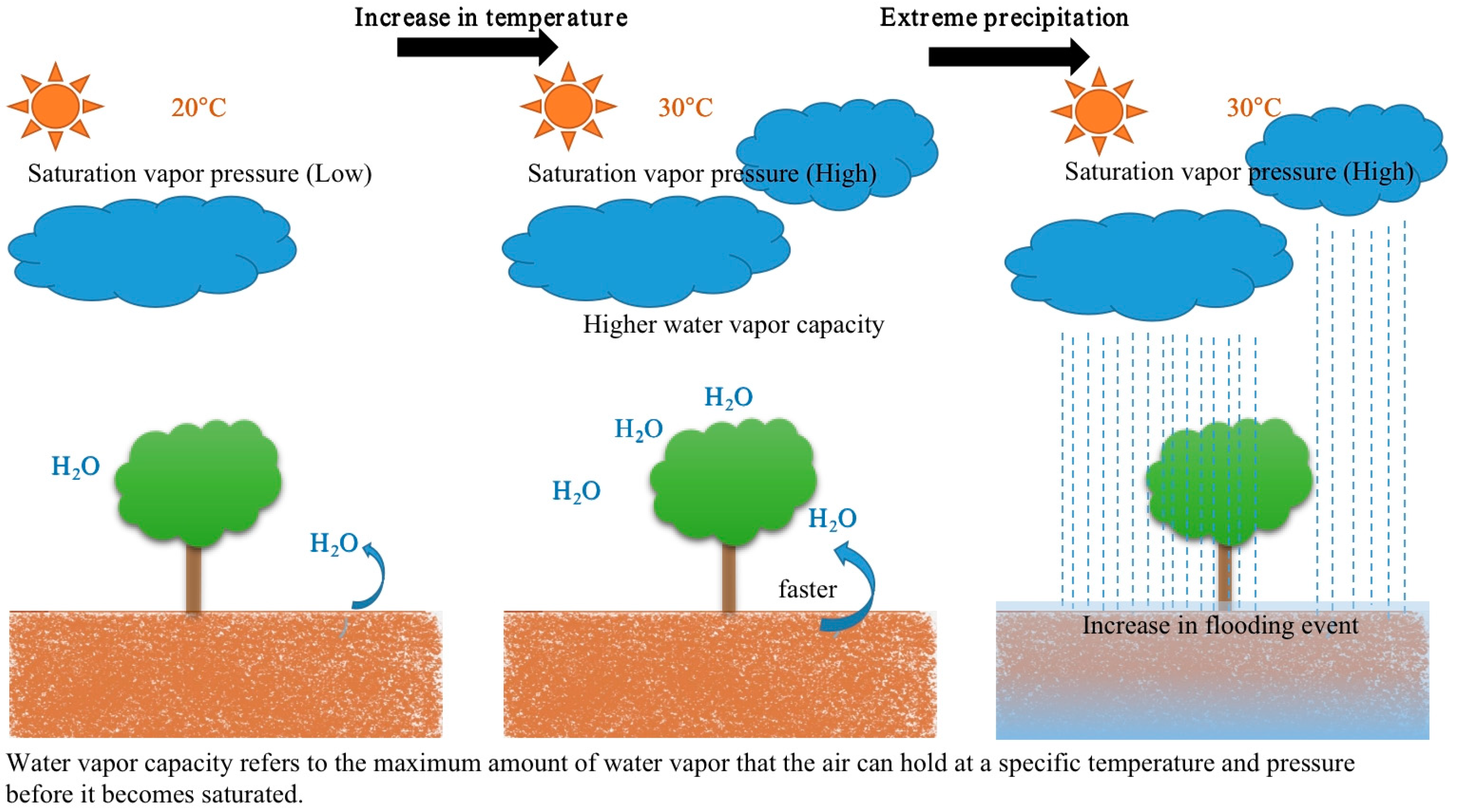 Sustainability 16 06141 g002