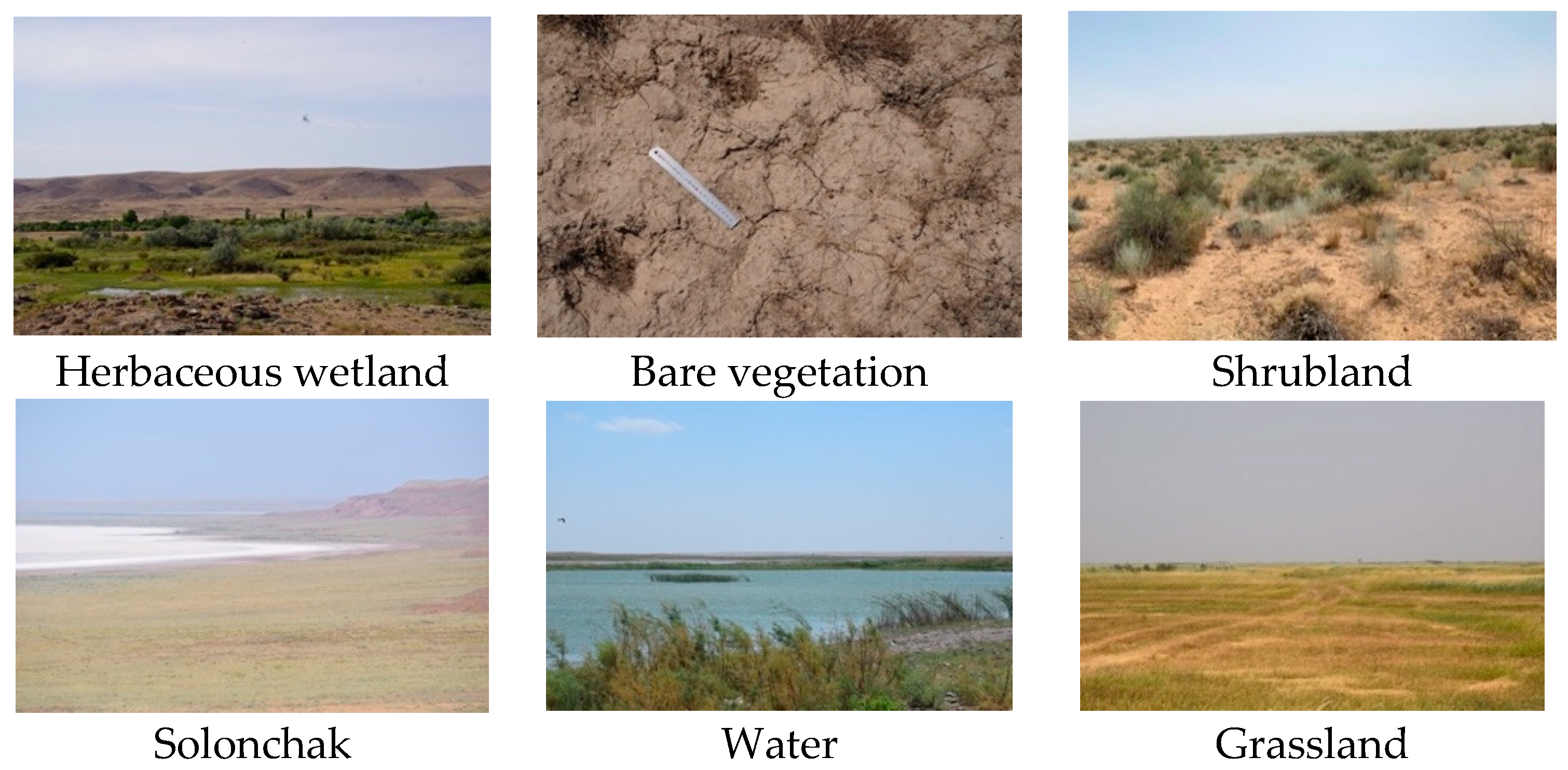 Sustainability 16 06144 g005