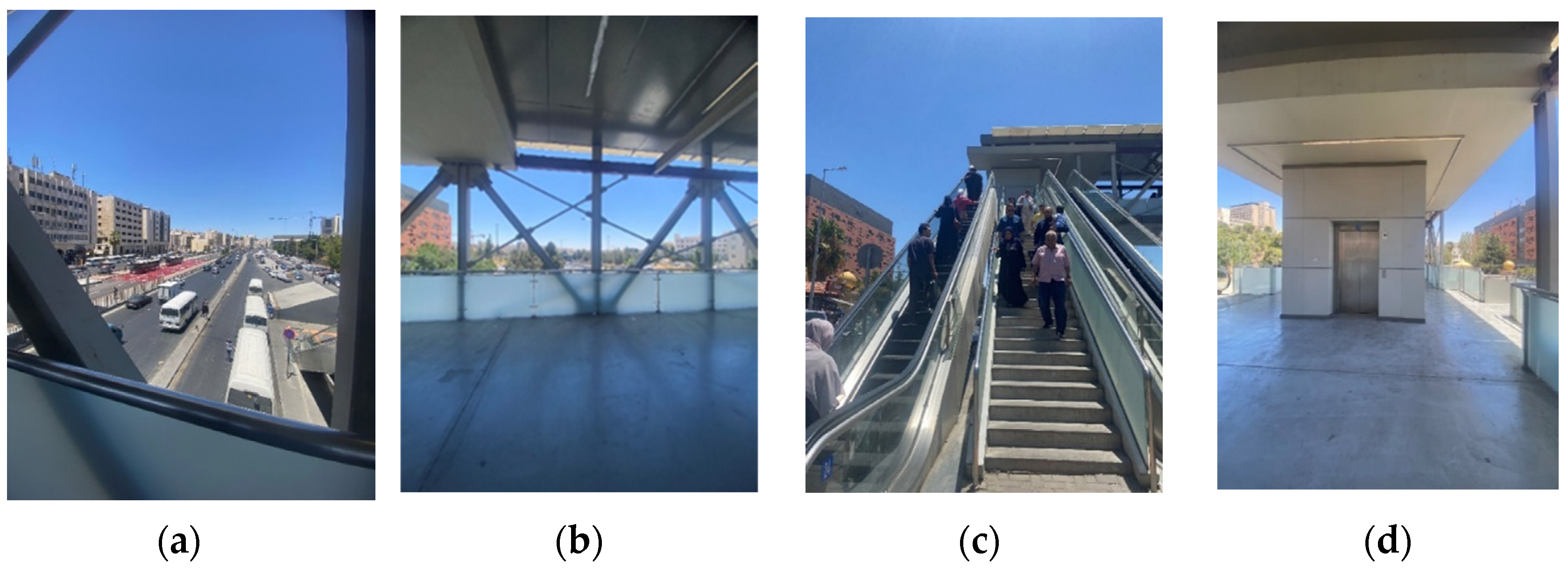 Sustainability 16 06150 g007