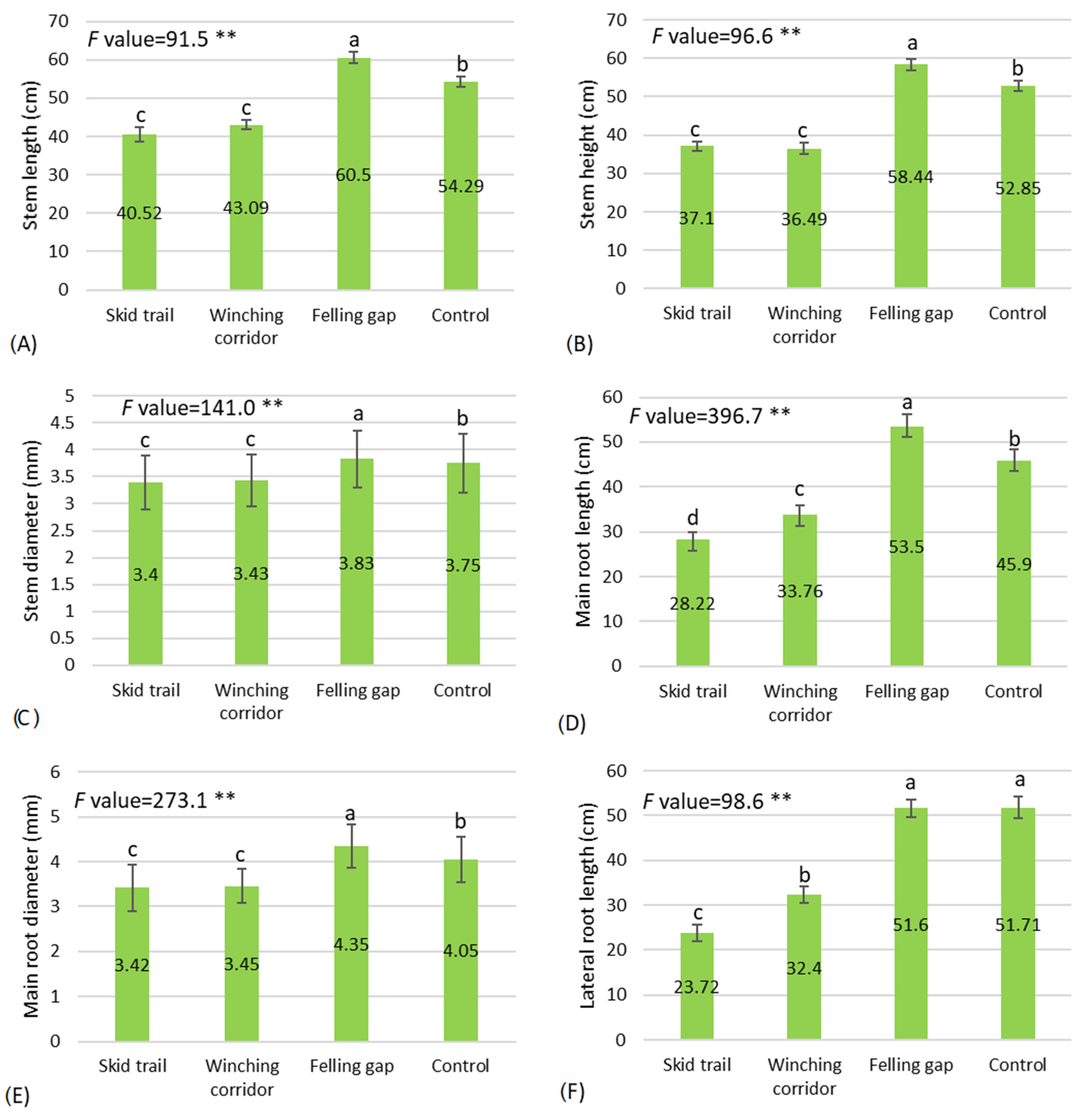 Sustainability 16 06162 g004
