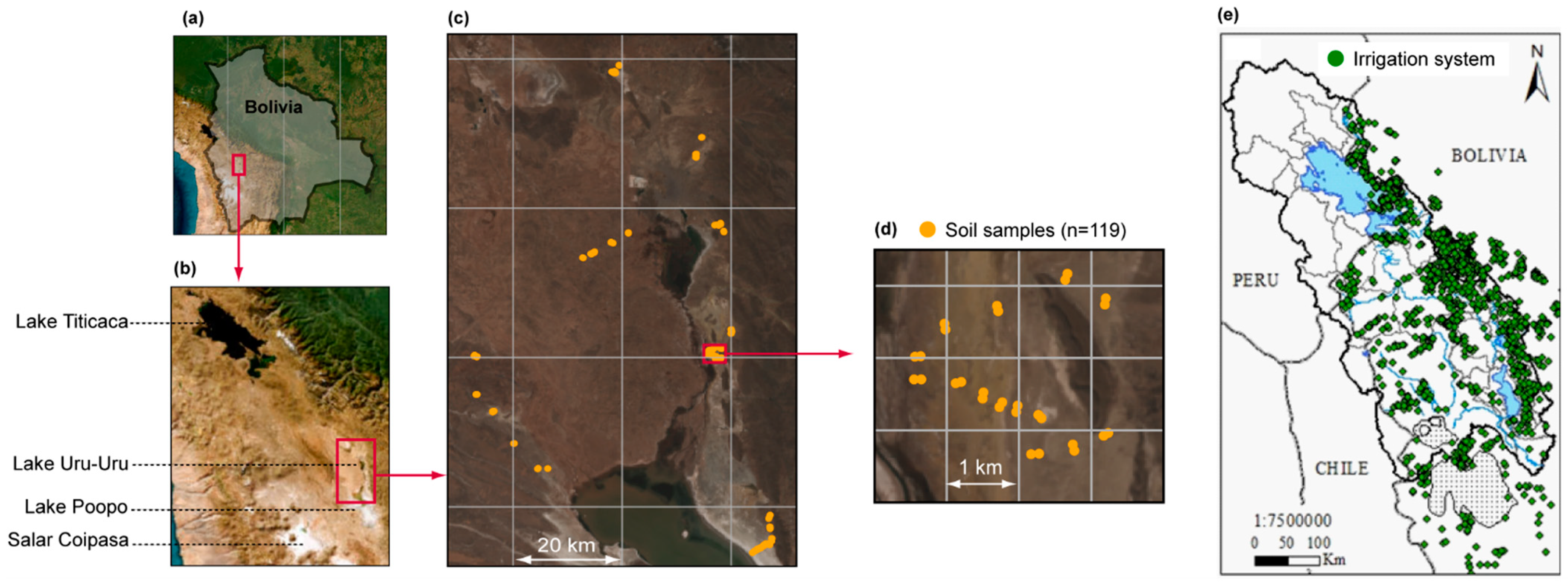 Sustainability 16 06200 g001 Sustainability 16 06200 g001