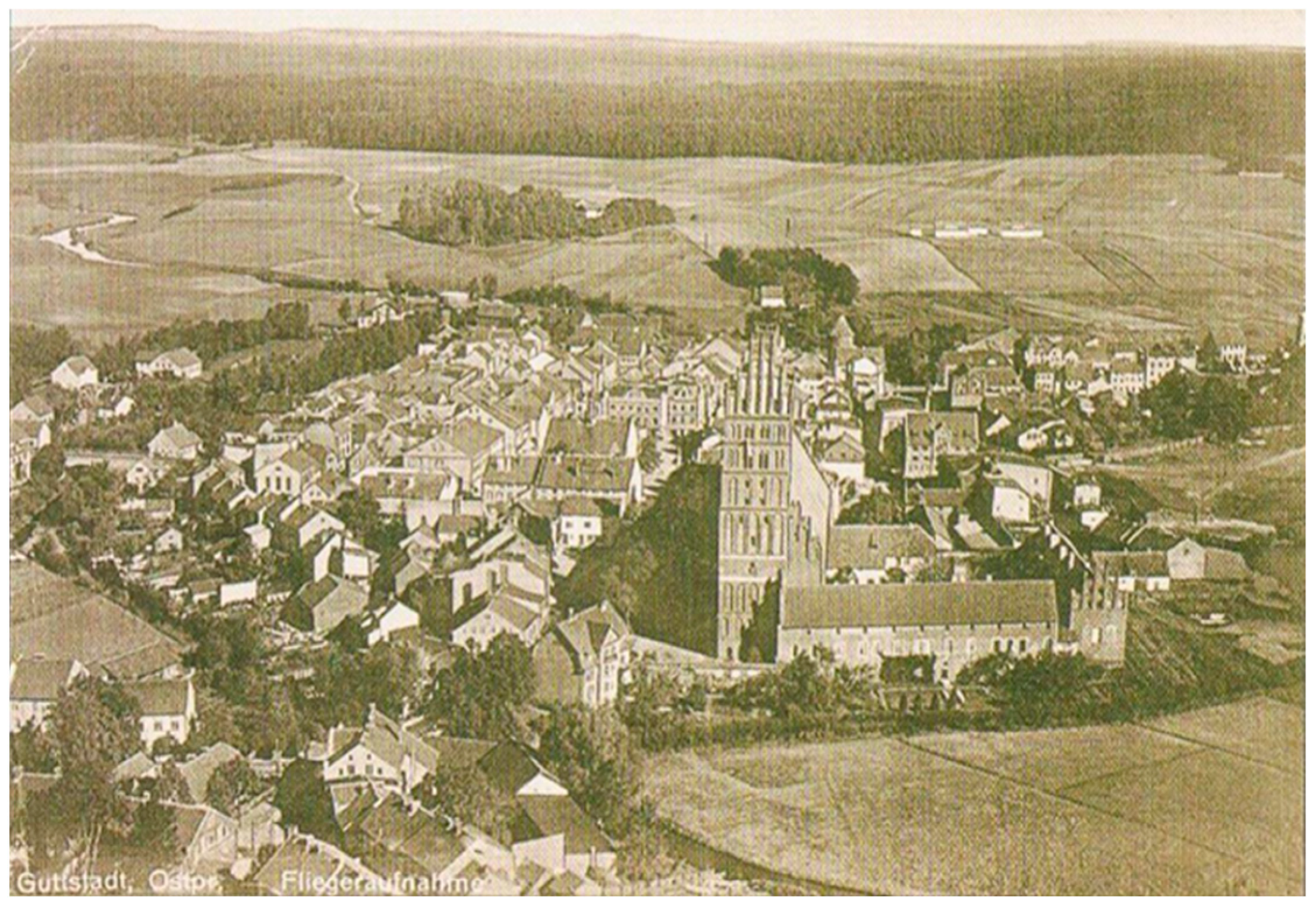 Sustainability 16 06201 g008