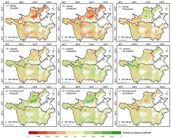 A Study on the Differences in Vegetation Phenological