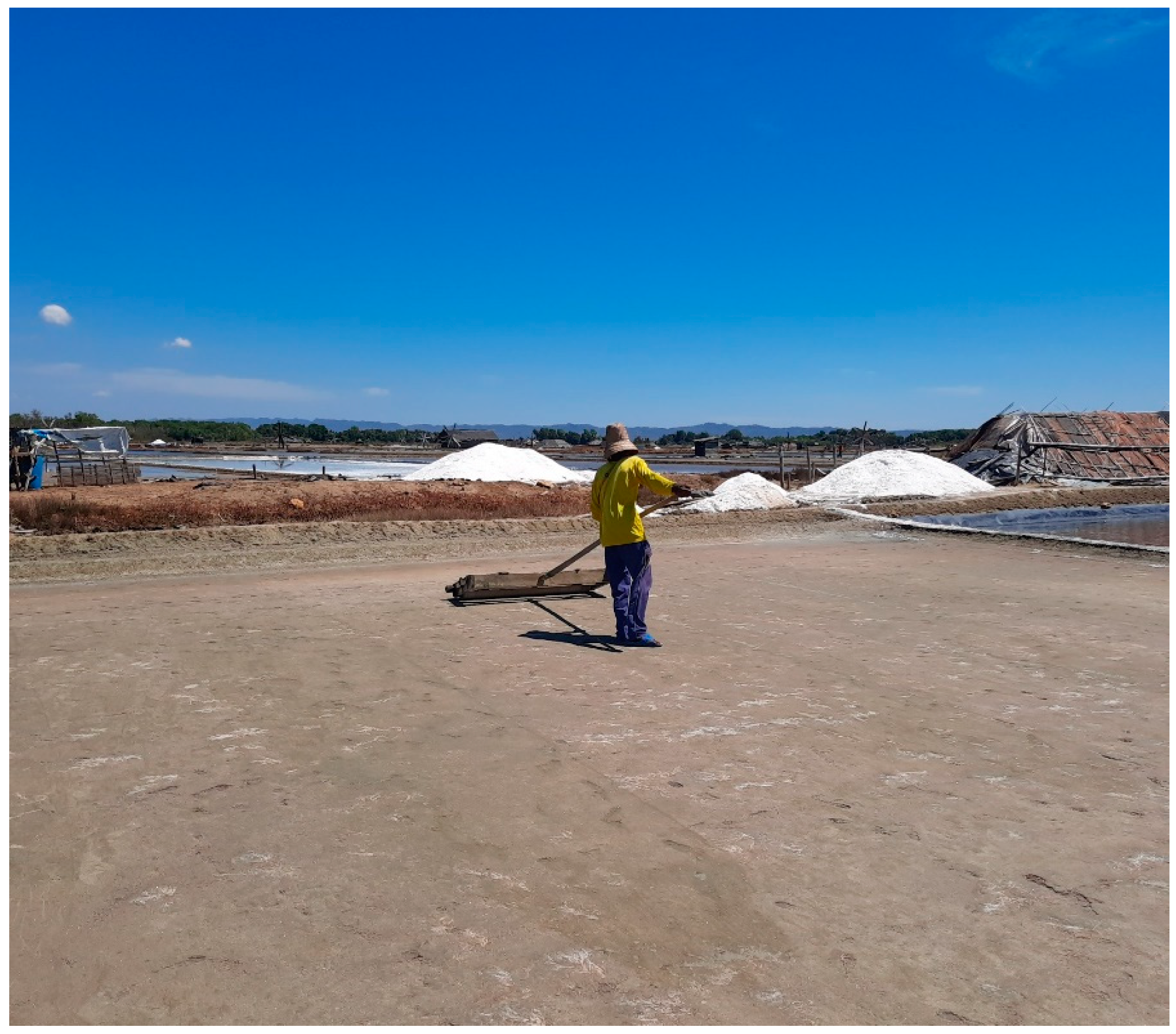 Sustainability 16 06247 g001 Sustainability 16 06247 g001