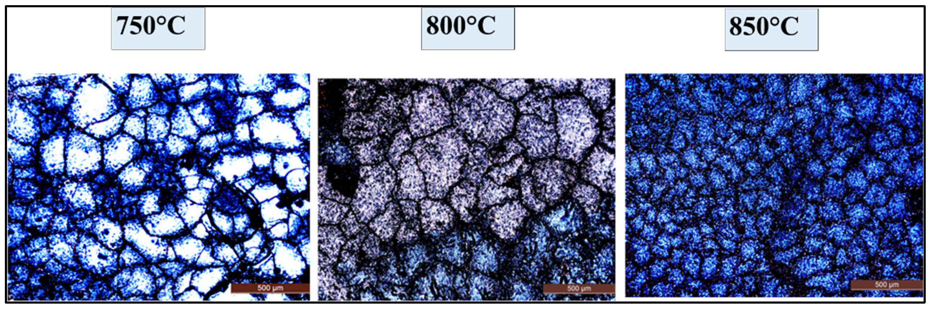 Sustainability 16 06269 g011