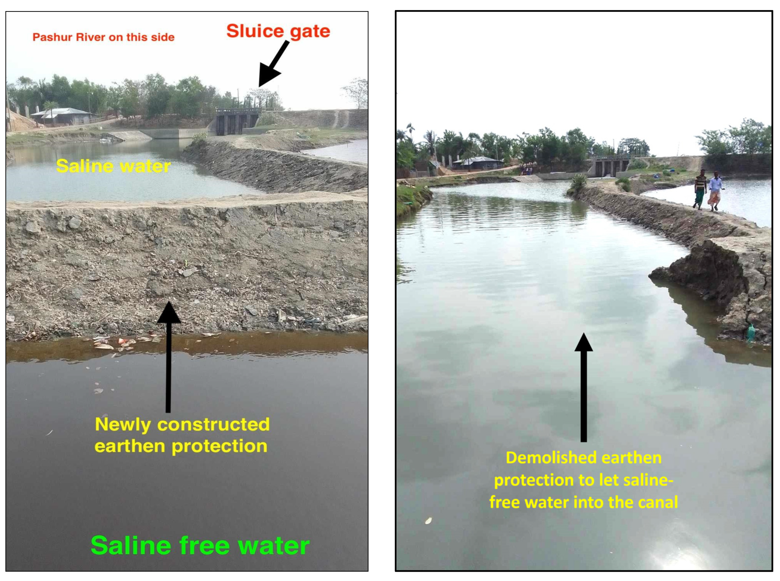 Sustainability 16 06279 g003