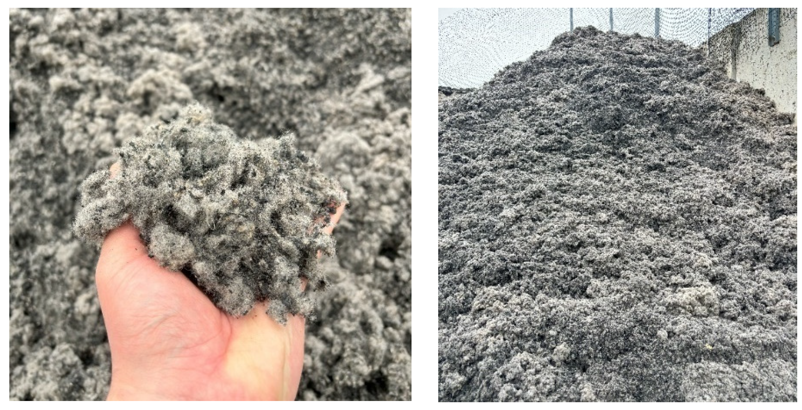 Sustainability 16 06281 g001