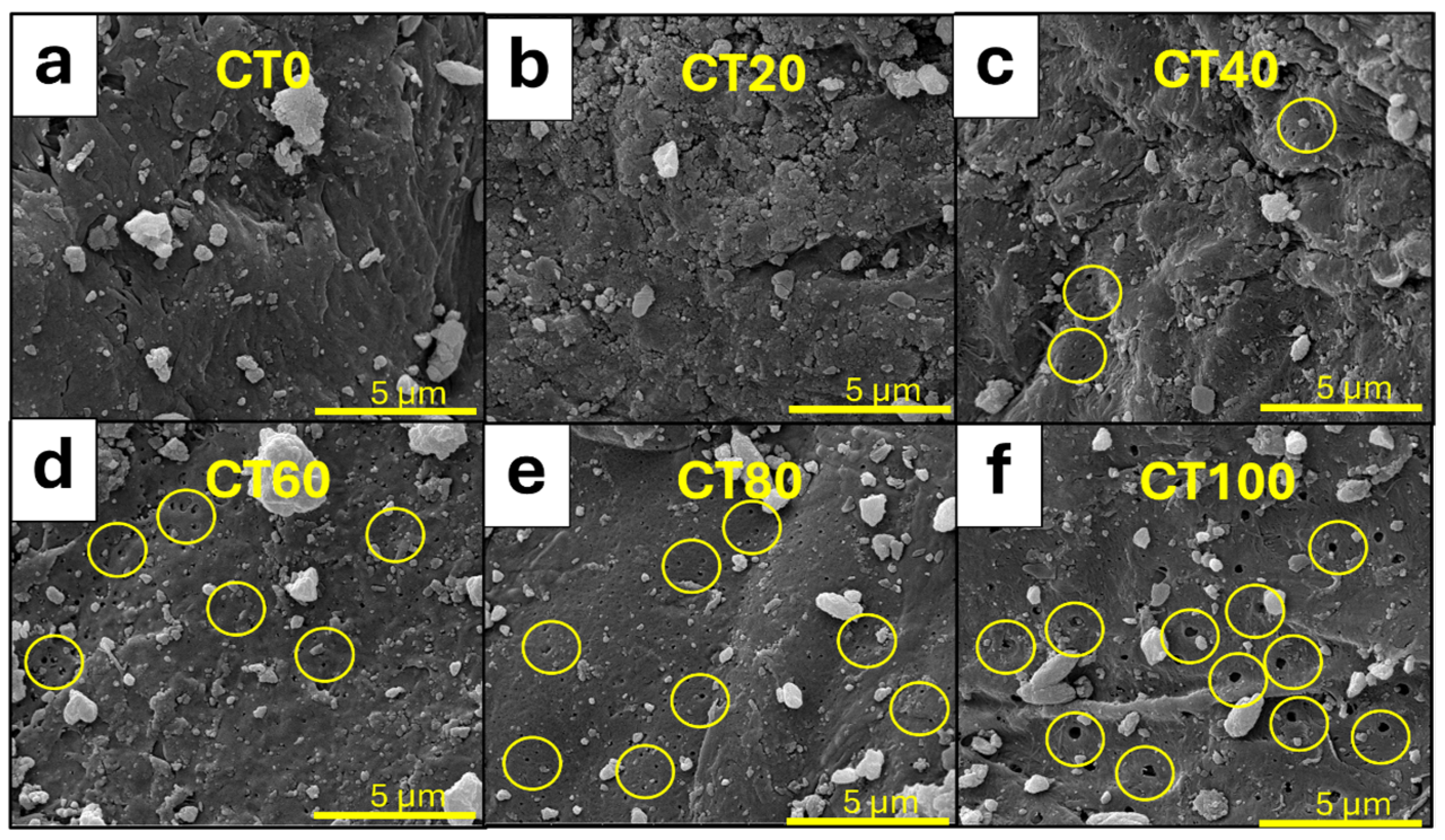 Sustainability 16 06282 g002 Sustainability 16 06282 g002