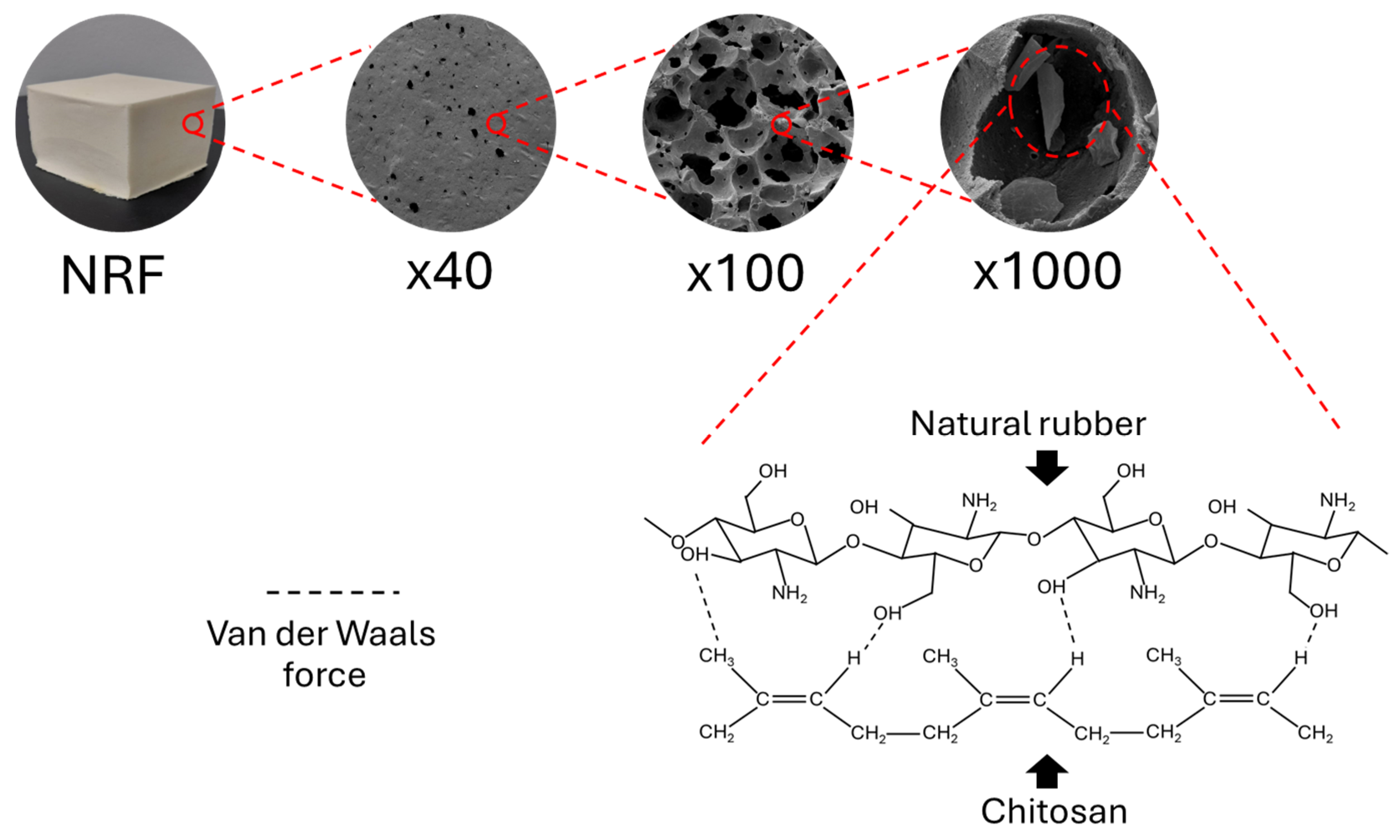 Sustainability 16 06282 g008 Sustainability 16 06282 g008