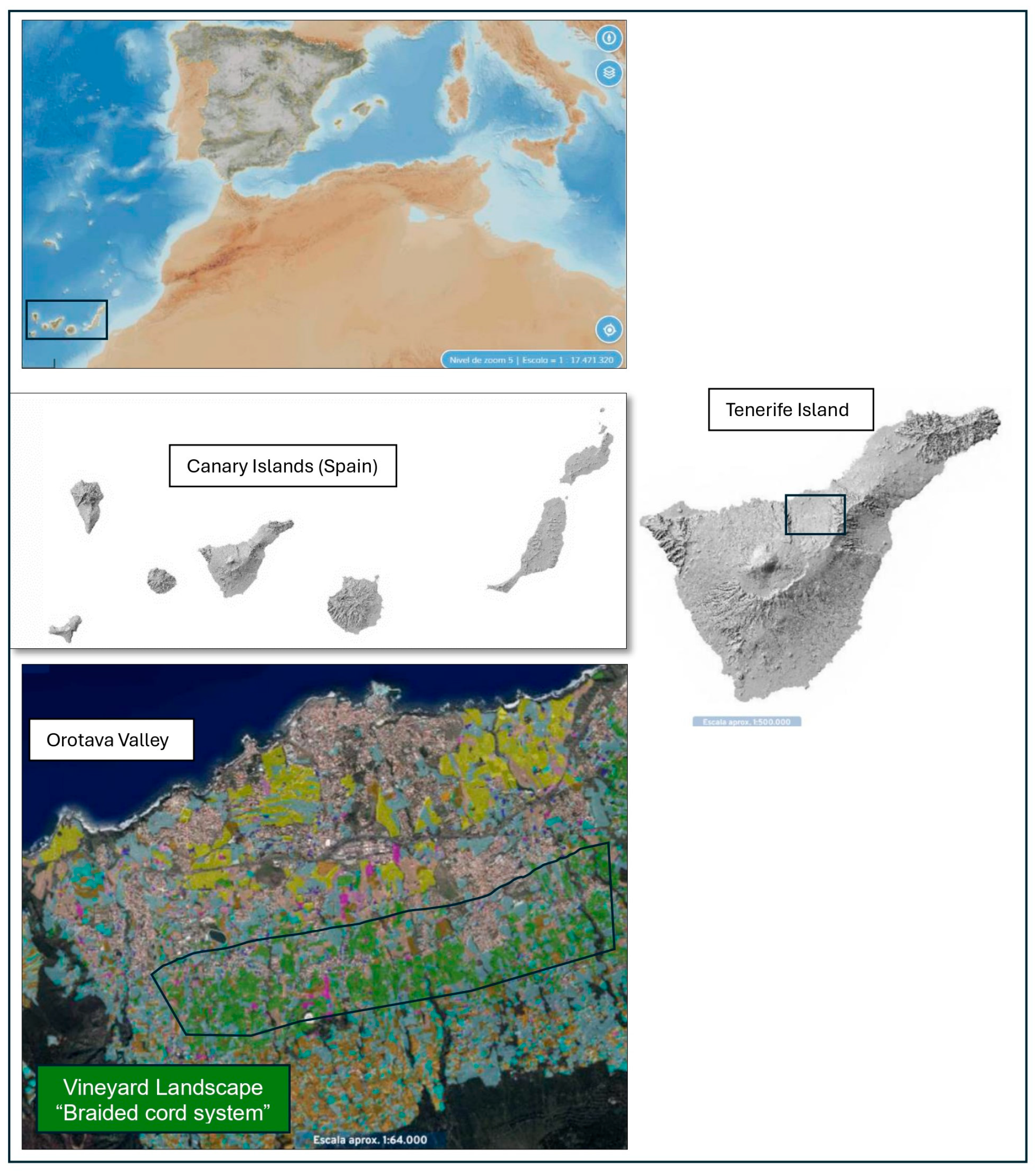 Sustainability 16 06314 g001