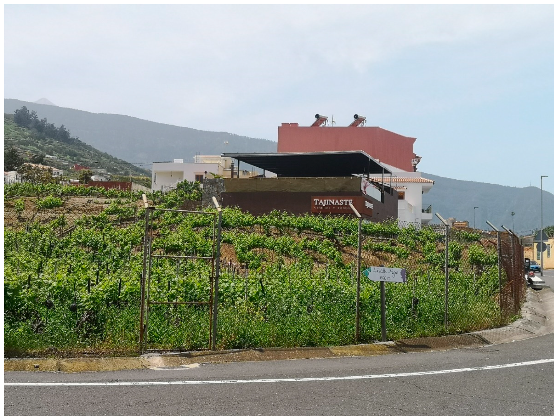 Sustainability 16 06314 g003